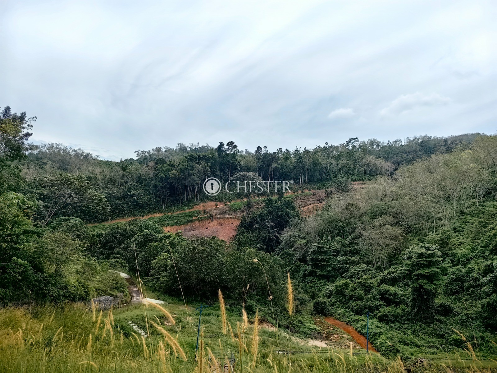 16-563-acres-bentong-agri-land-for-sale-1