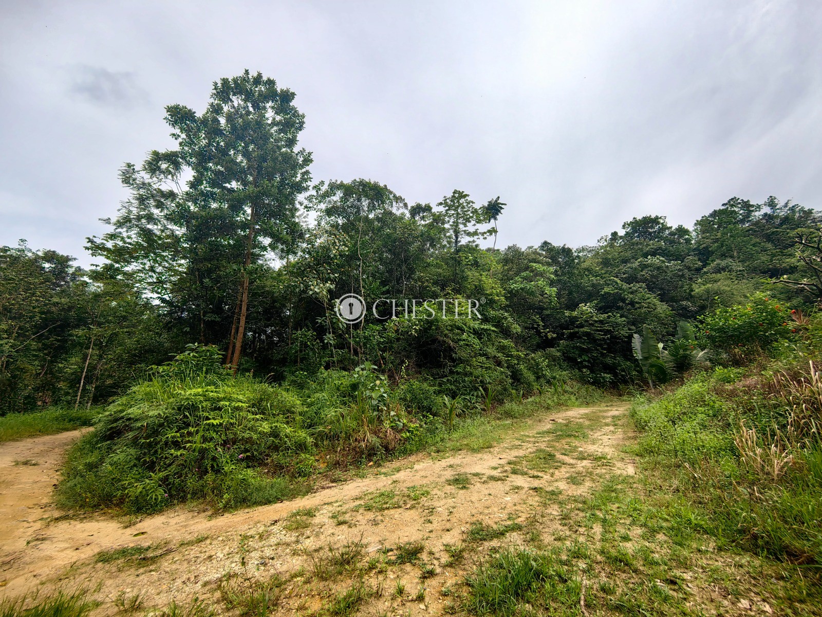 16-563-acres-bentong-agri-land-for-sale-10