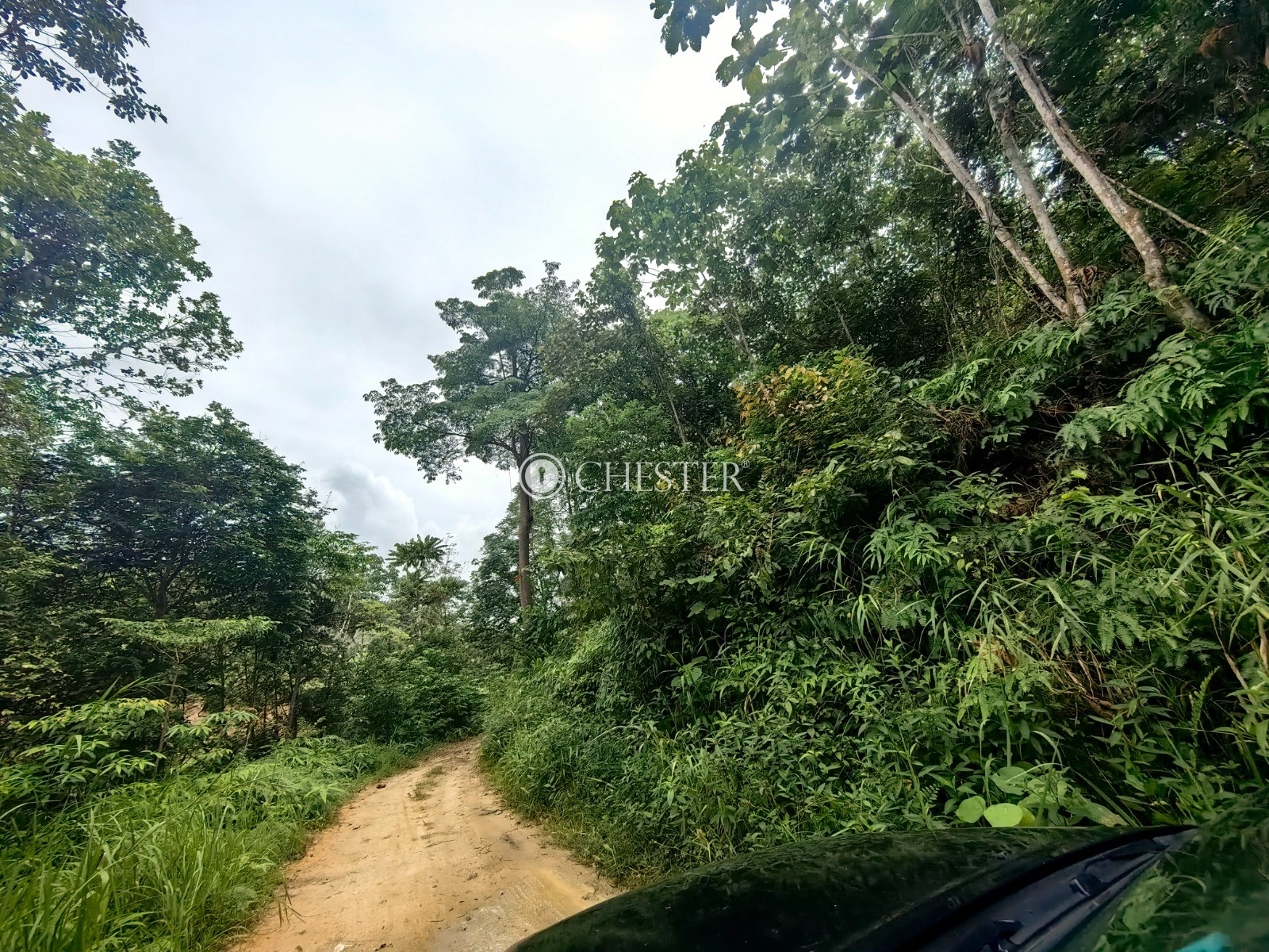 16-563-acres-bentong-agri-land-for-sale-12