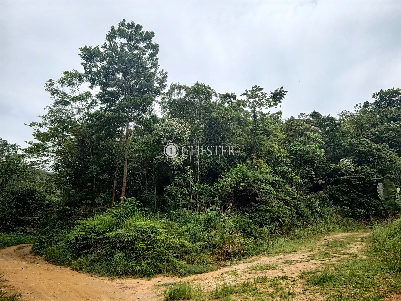 16-563-acres-bentong-agri-land-for-sale-14