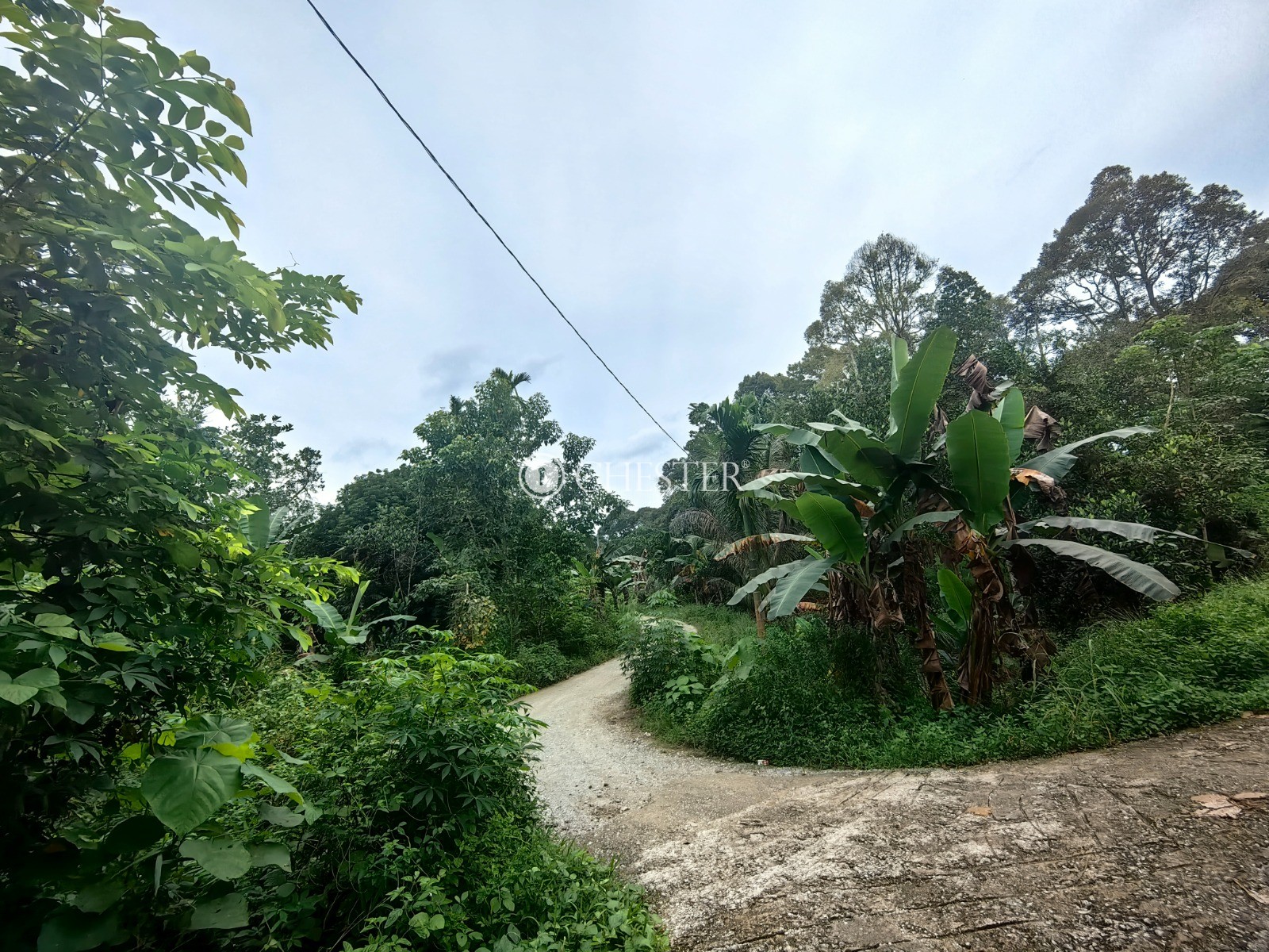 16-563-acres-bentong-agri-land-for-sale-4