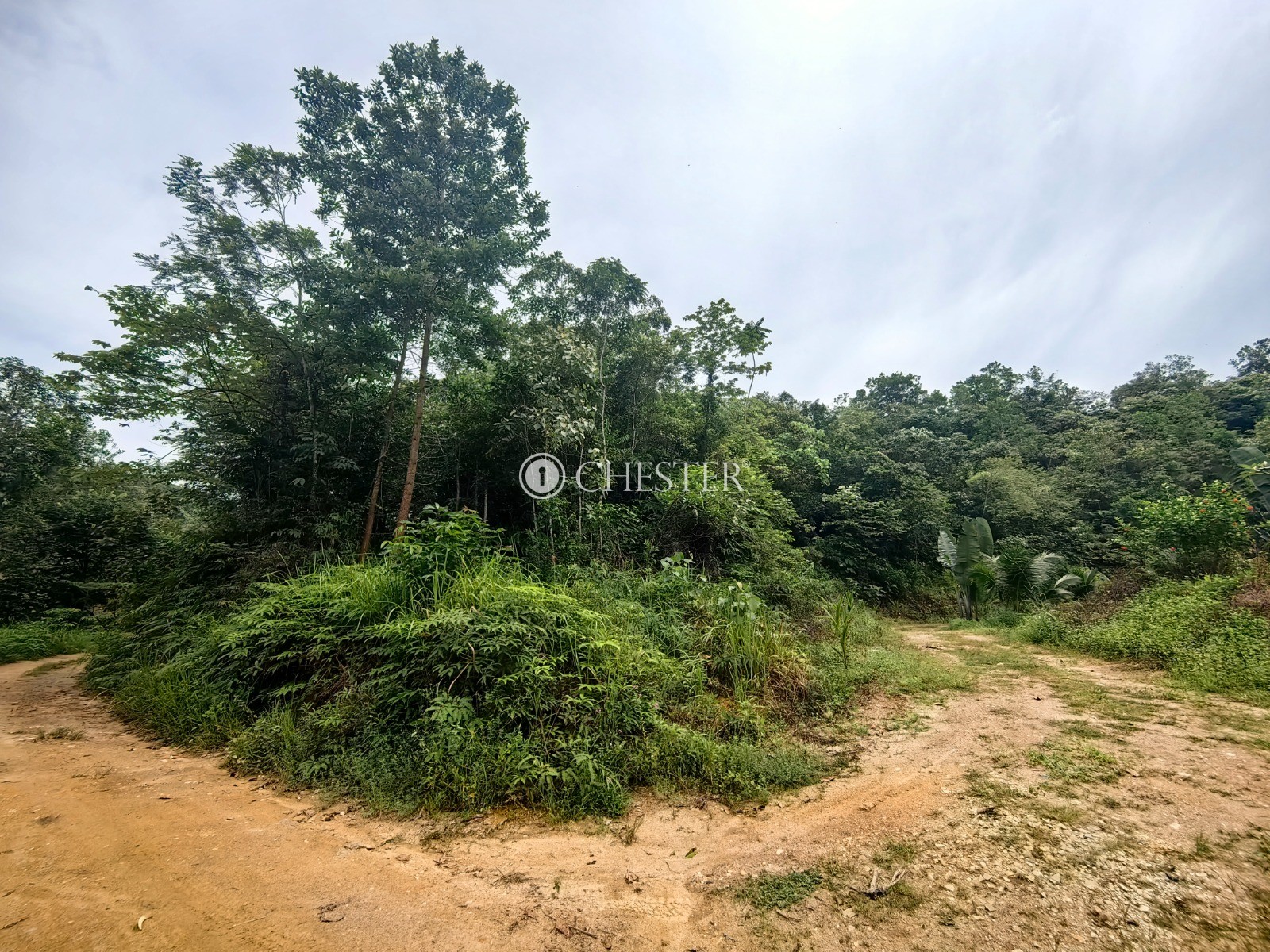 16-563-acres-bentong-agri-land-for-sale-8