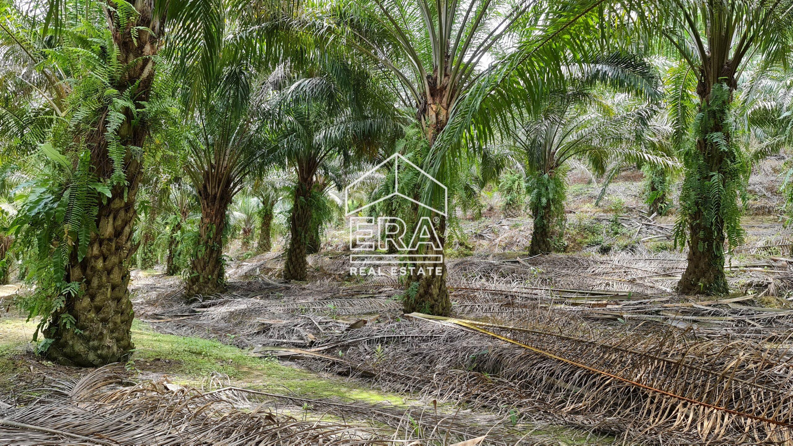 20210908_131009-min-scaled-1