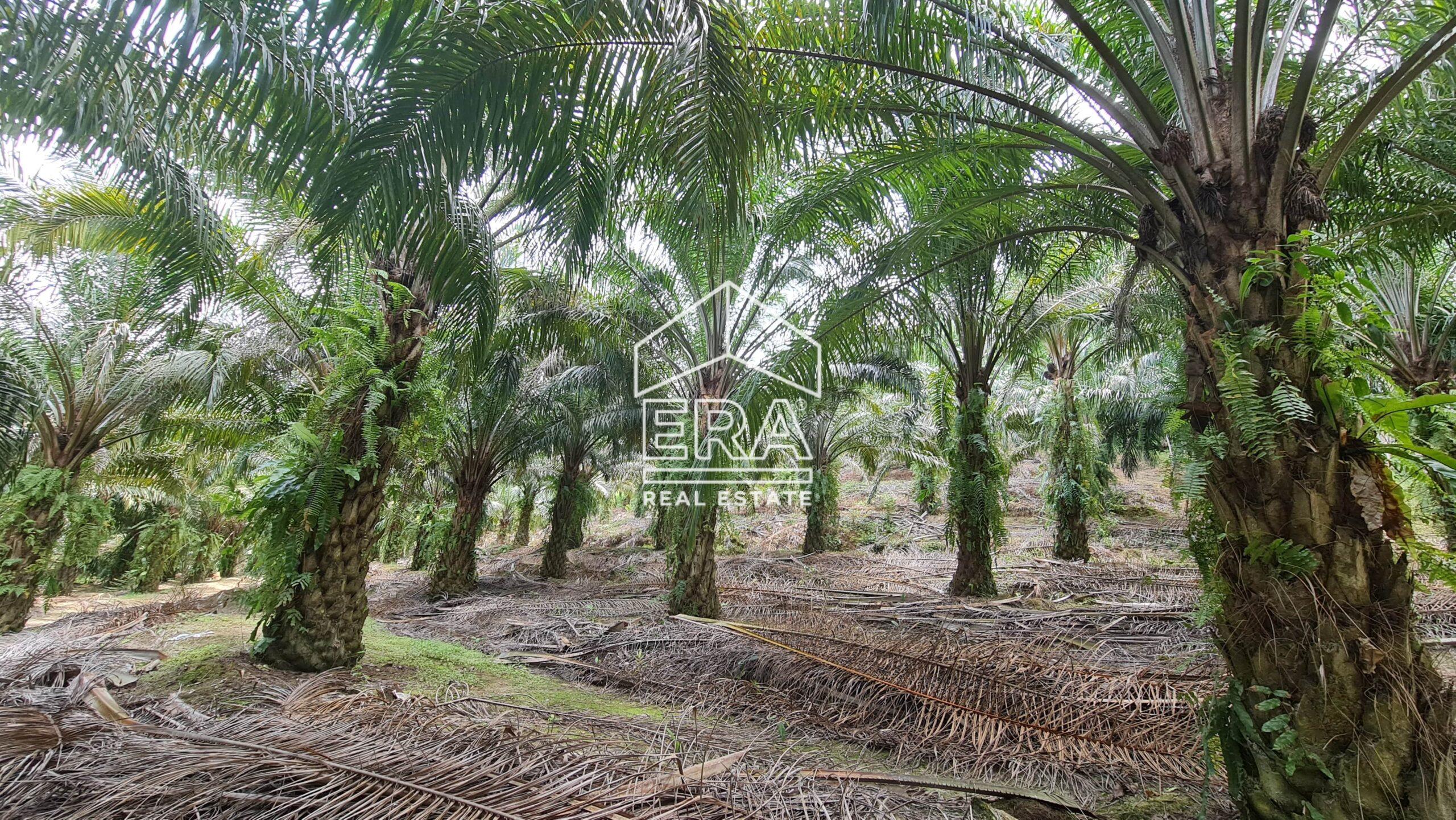 20210908_131020-min-scaled-1