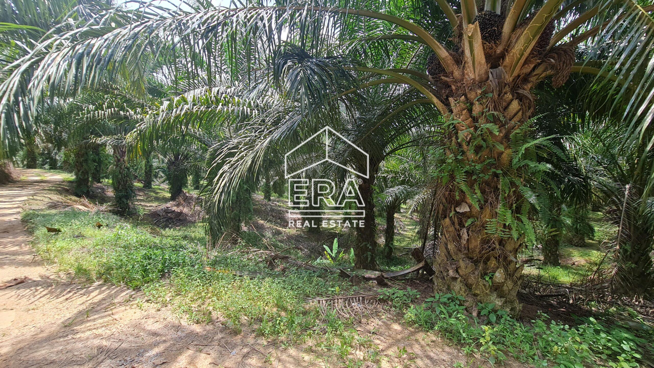 20210908_131425-min-scaled-1