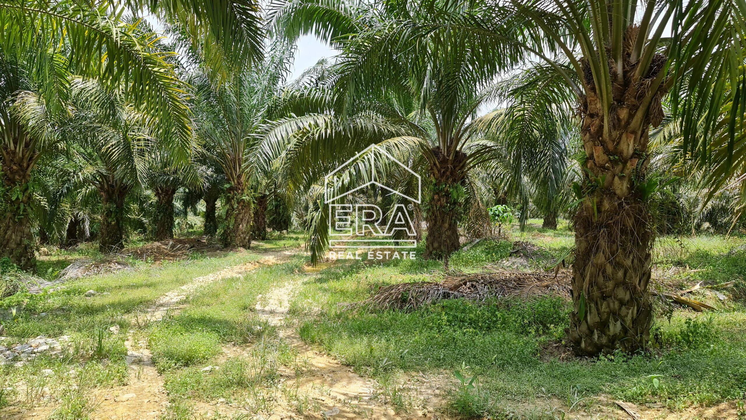 20210908_133134-min-scaled-1