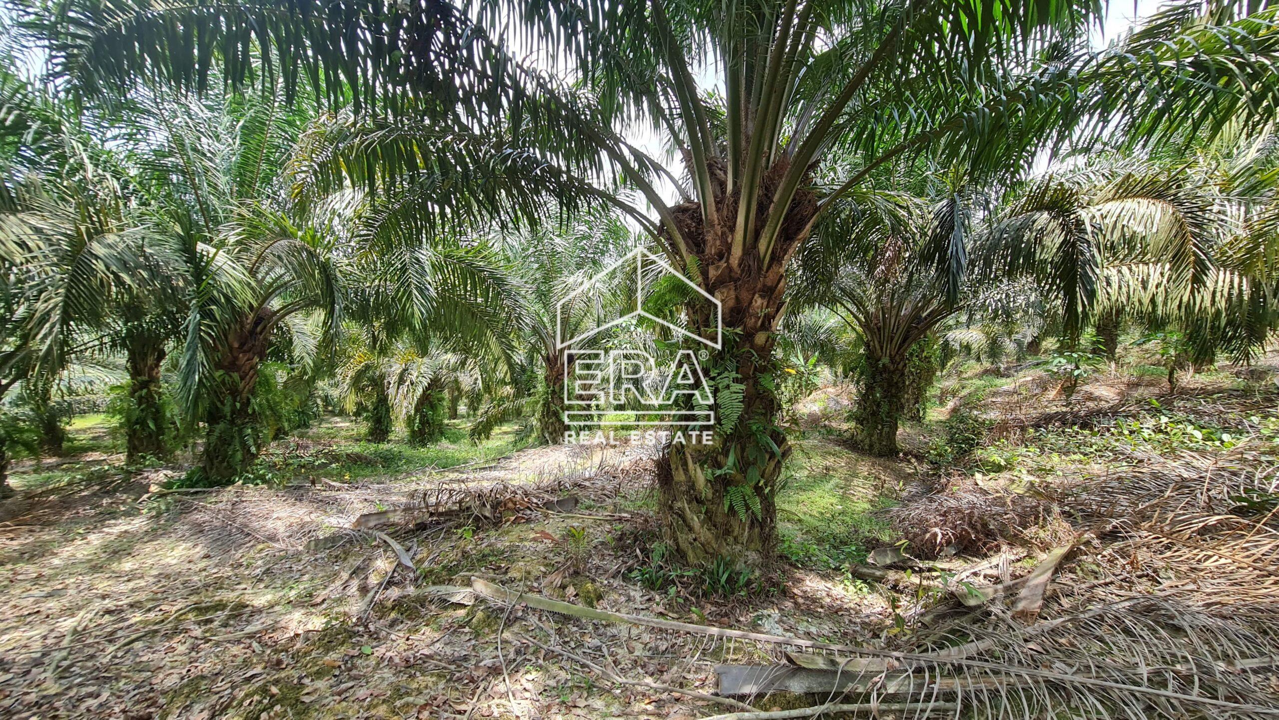 20210908_133325-min-scaled-2