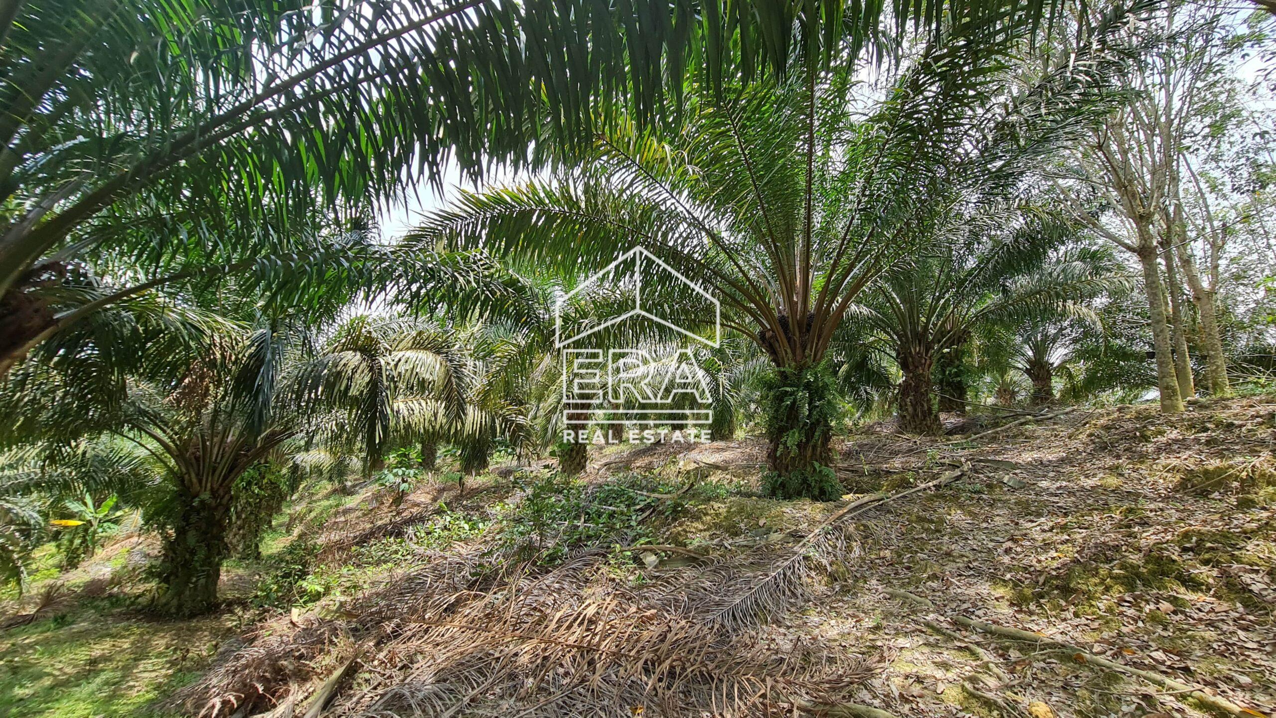 20210908_133334-min-scaled-1