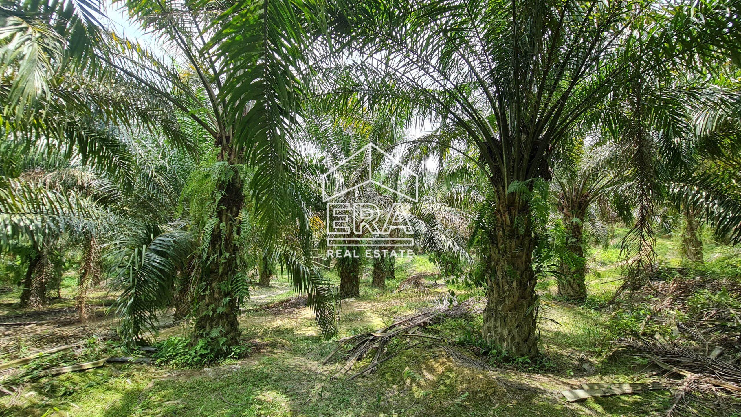 20210908_133647-min-scaled-1