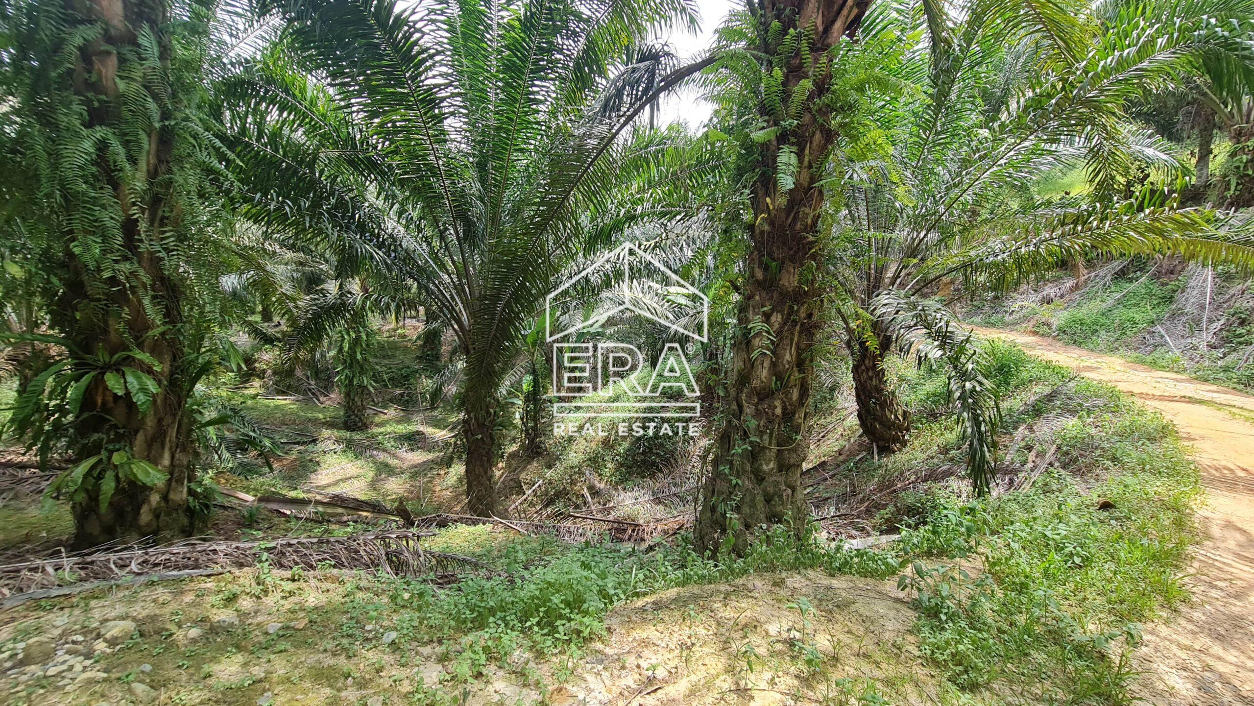 20210908_135040-min-scaled-1