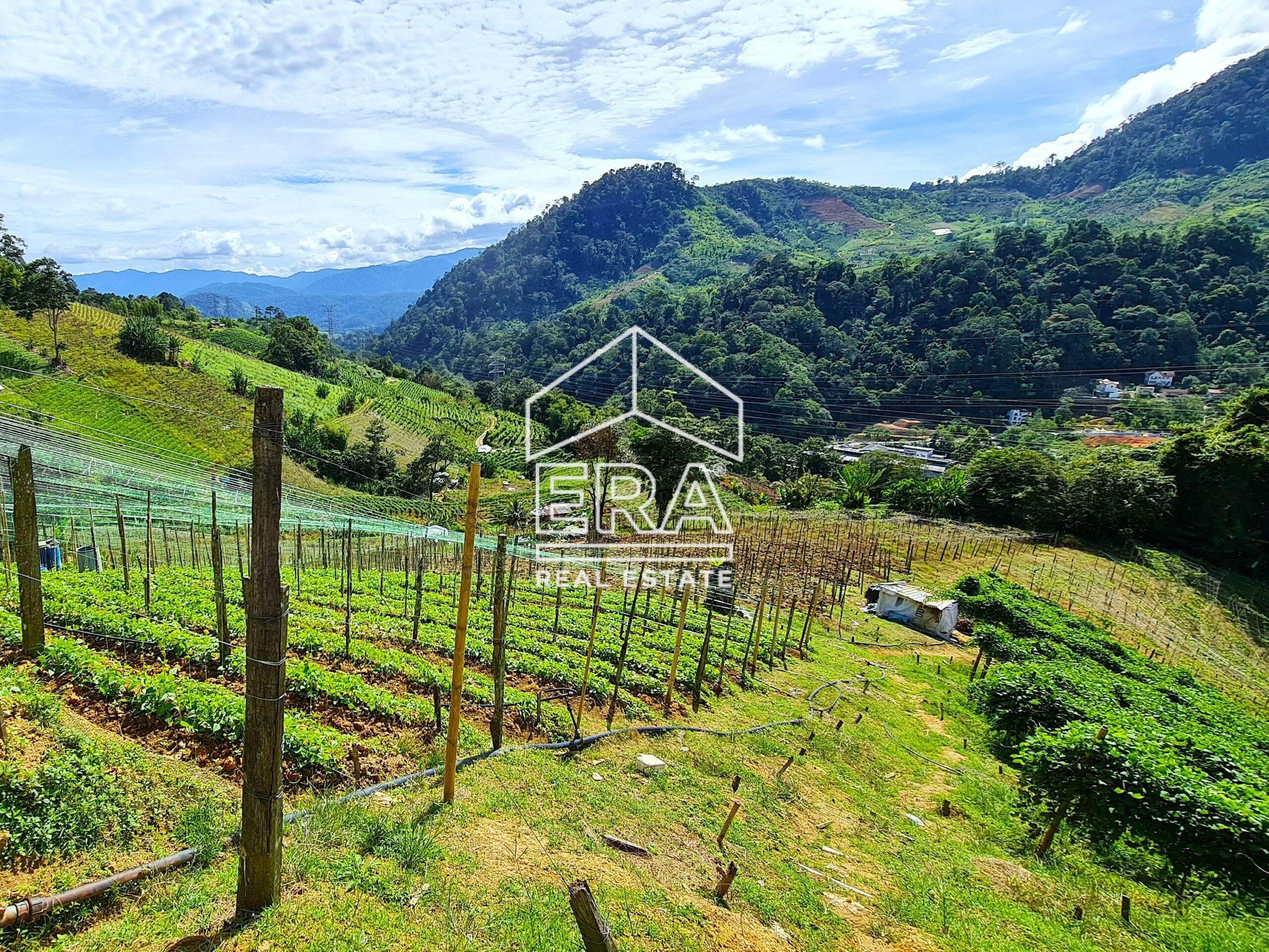 20211119_104009-crushimage-scaled-2