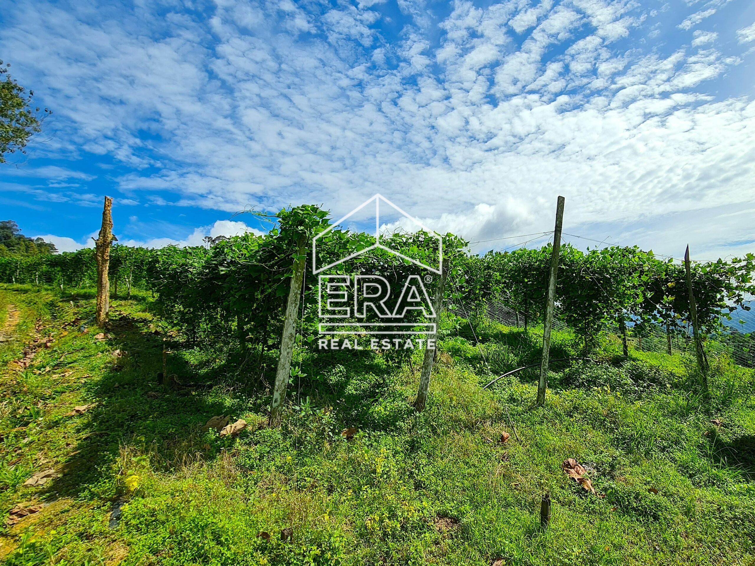 20211119_104034-crushimage-scaled-2