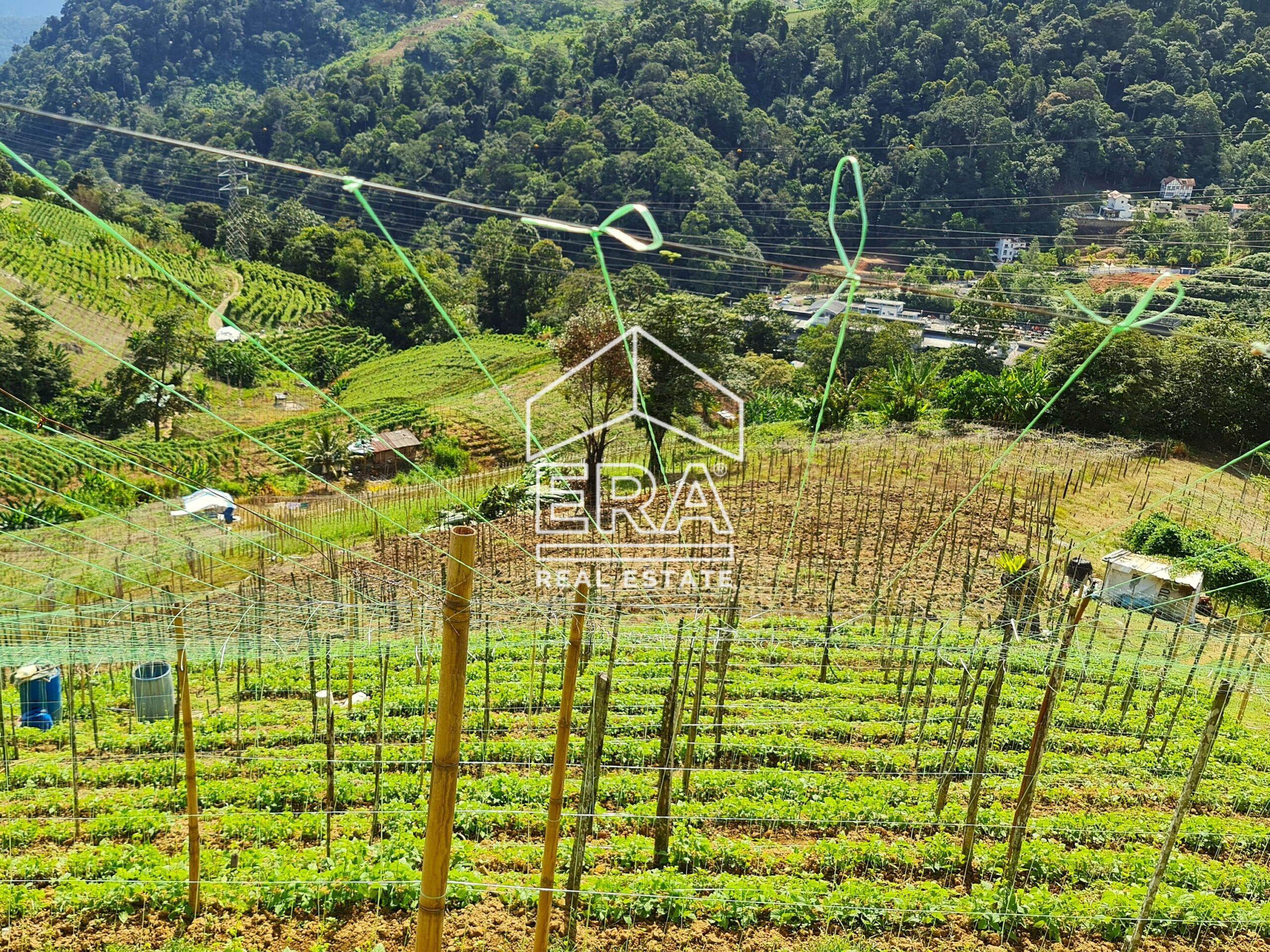 20211119_104220-crushimage-scaled-2