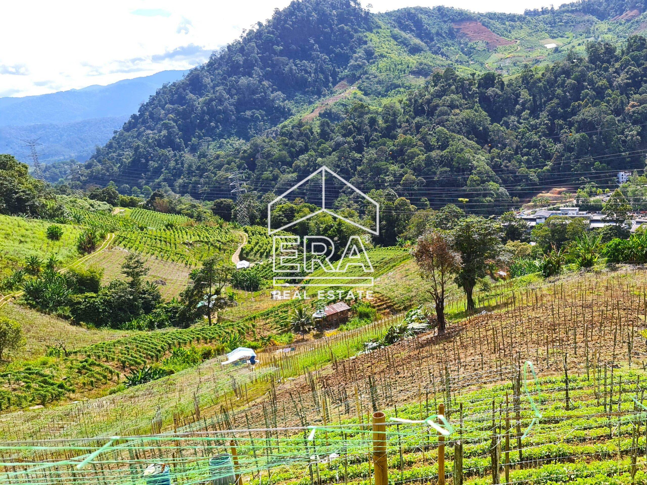 20211119_104223-crushimage-scaled-2