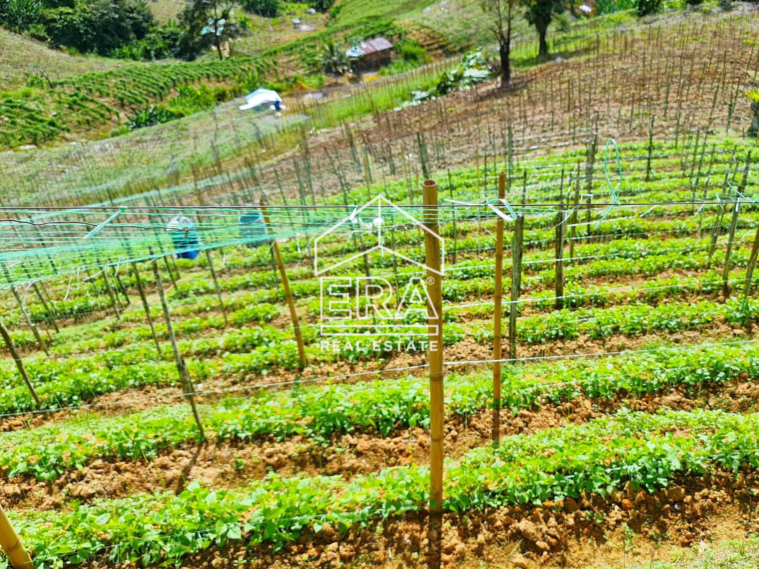 20211119_104224-crushimage-scaled-2