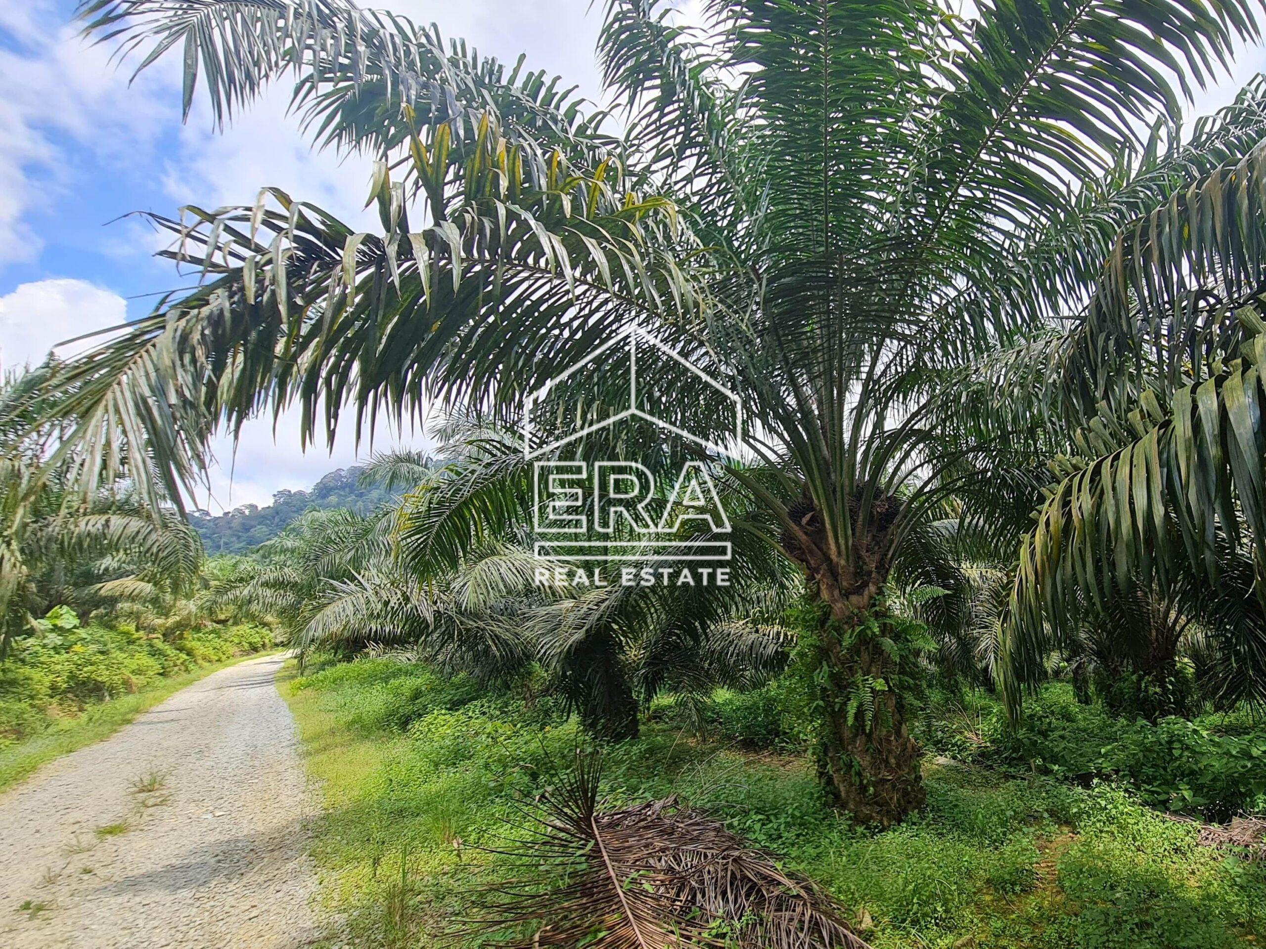 20220428_122452-min_cropped-crushimage-scaled-1