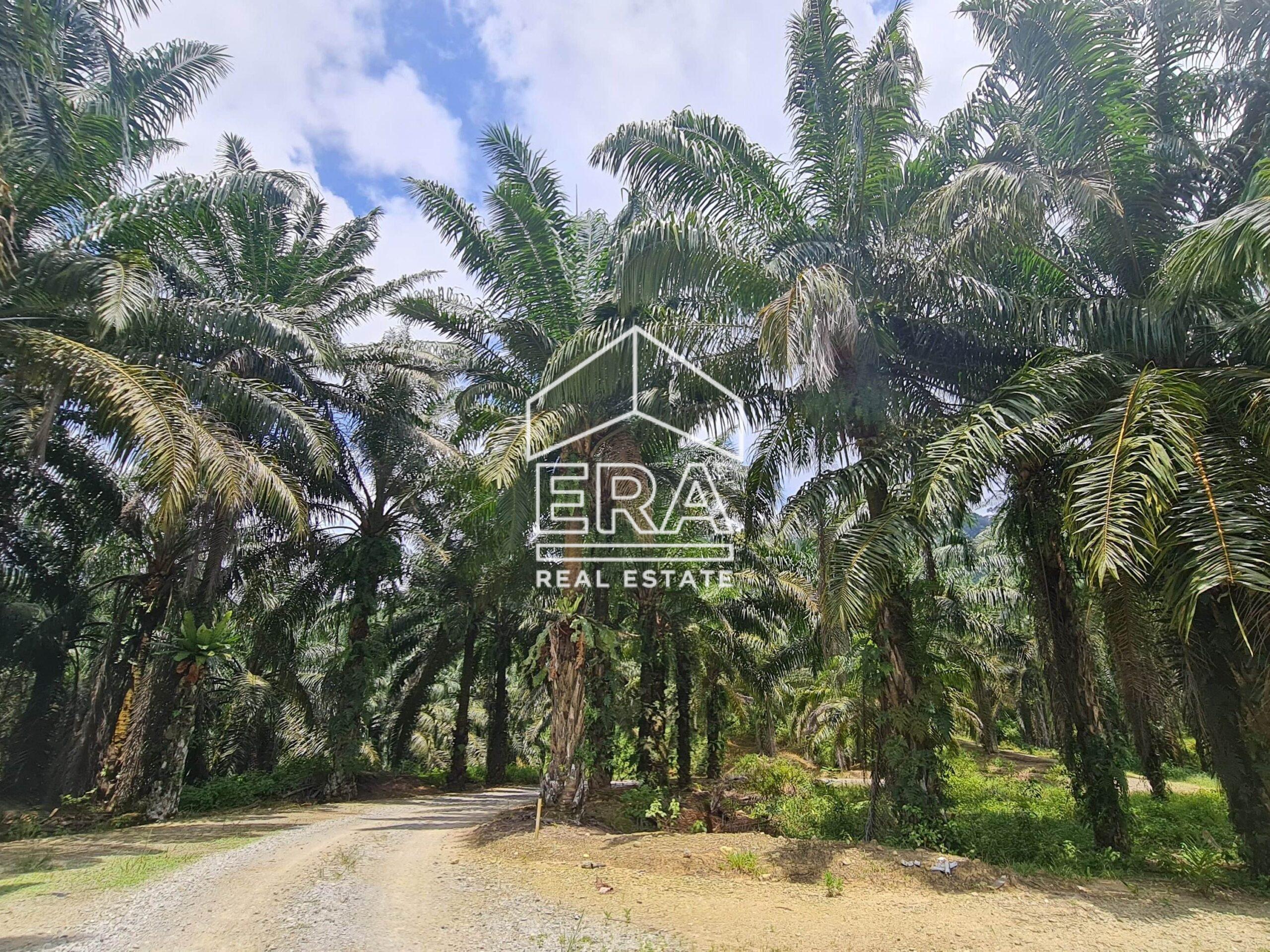 20220428_122539-min_cropped-crushimage-scaled-1