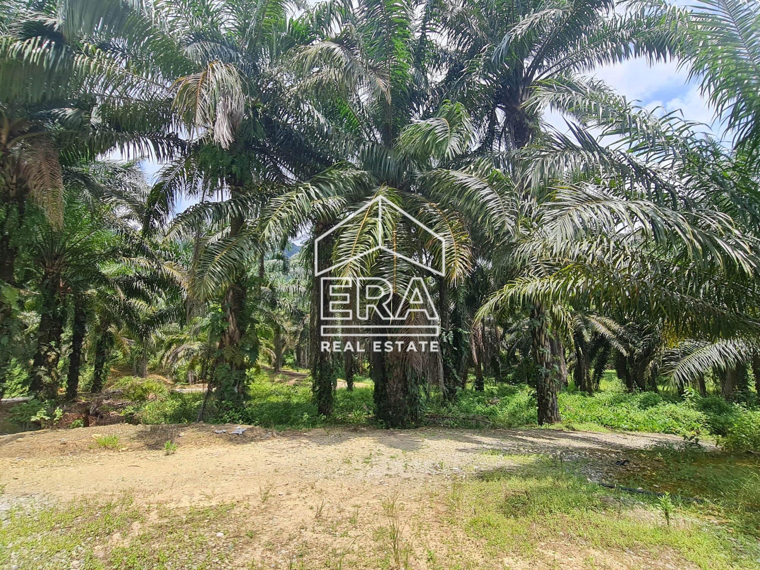 20220428_122546-min_cropped-crushimage-scaled-1