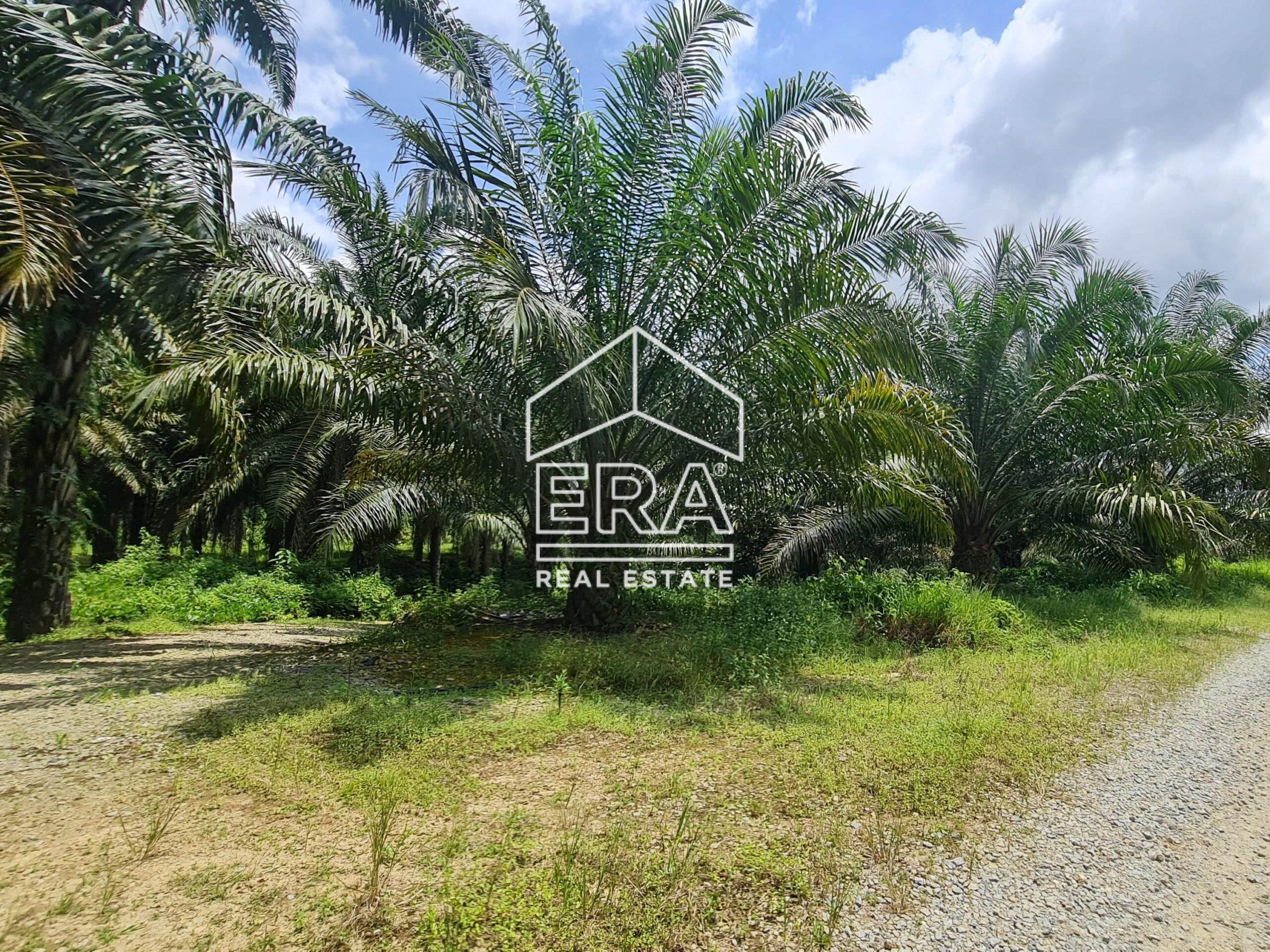 20220428_122553-min_cropped-crushimage-scaled-1