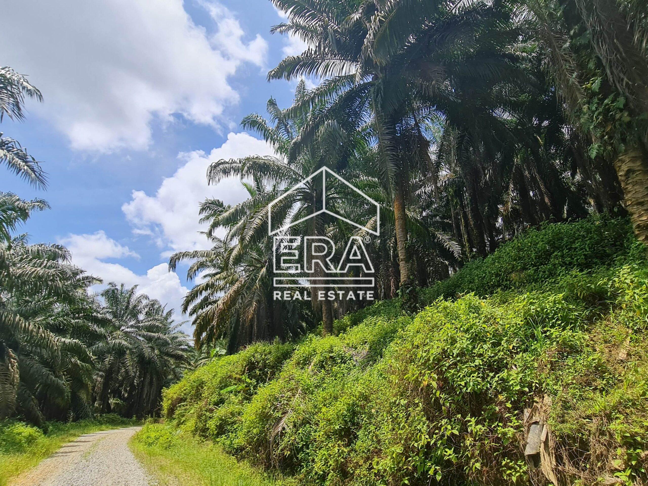 20220428_122635-min_cropped-crushimage-scaled-1