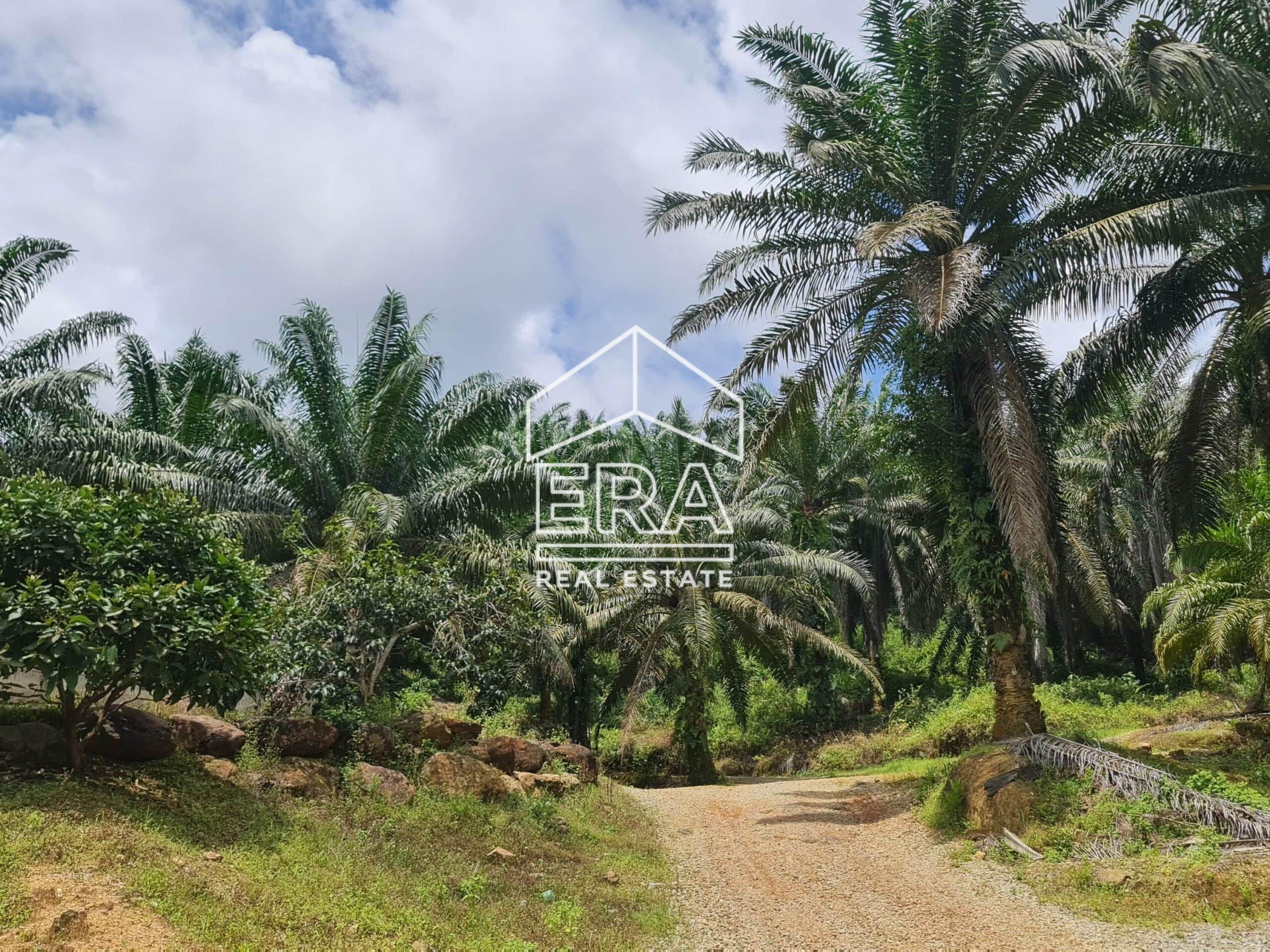 20220428_122753-min_cropped-crushimage-scaled-1