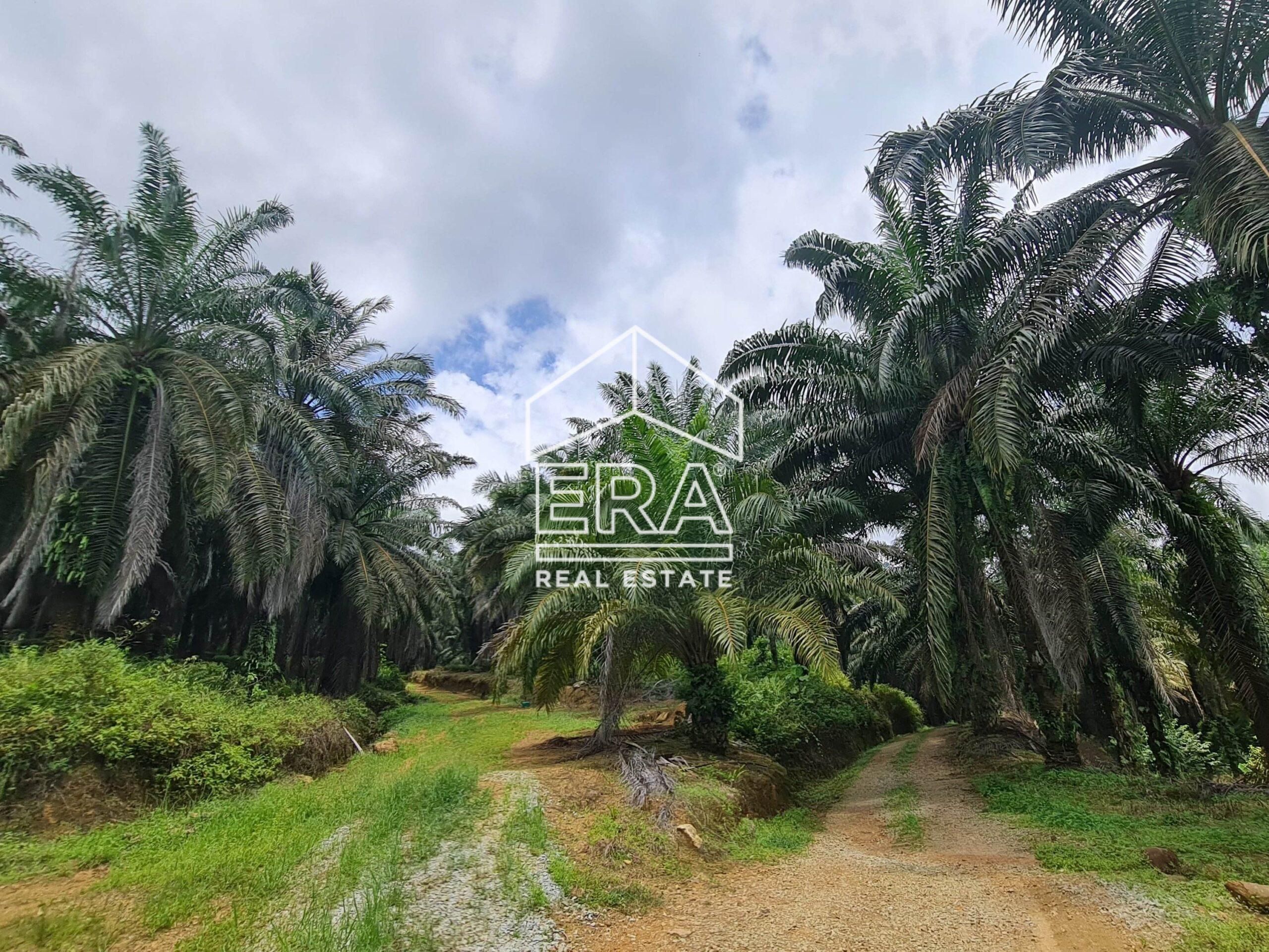 20220428_122834-min_cropped-crushimage-scaled-1