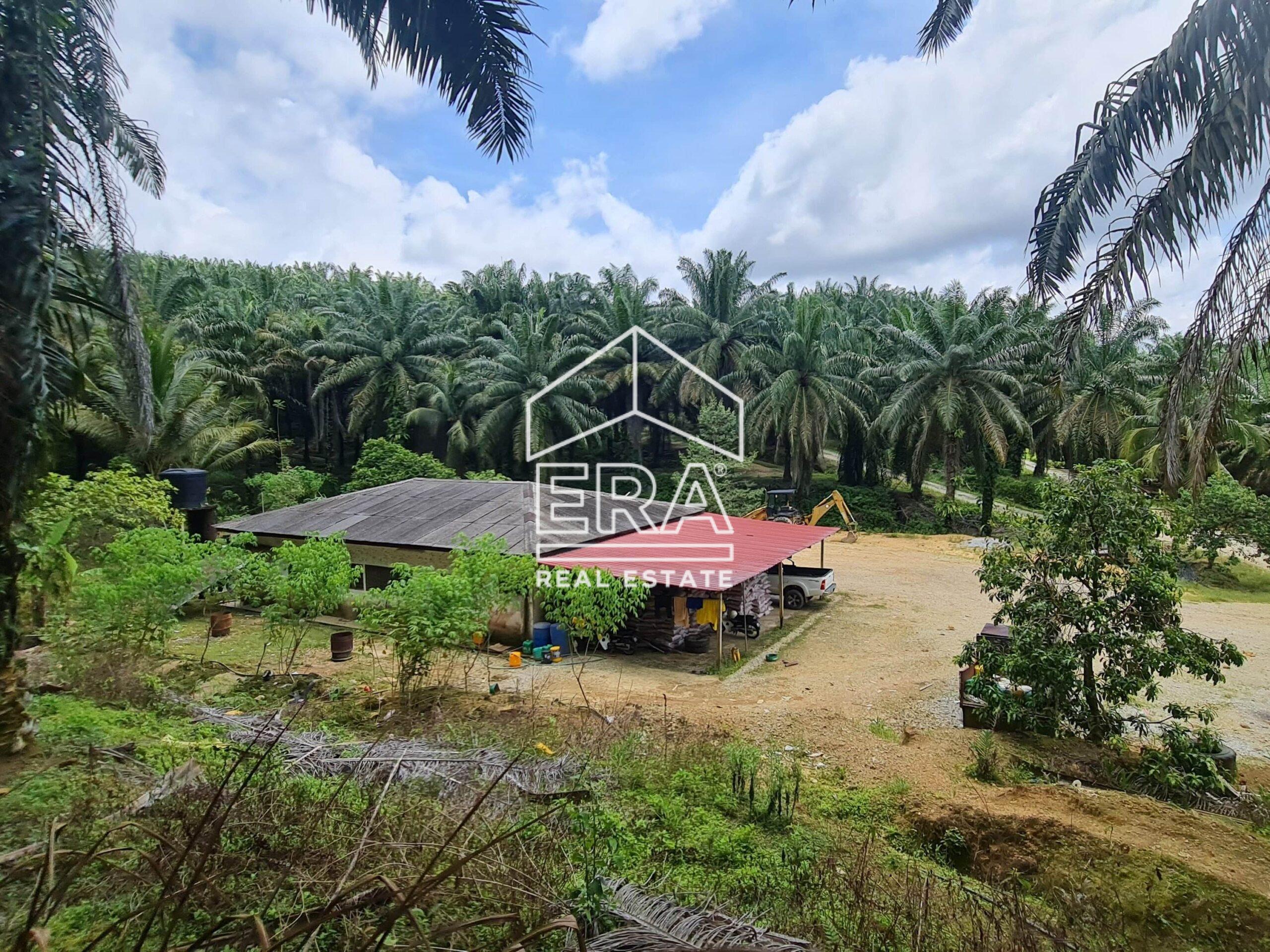 20220428_122903-min_cropped-crushimage-scaled-1