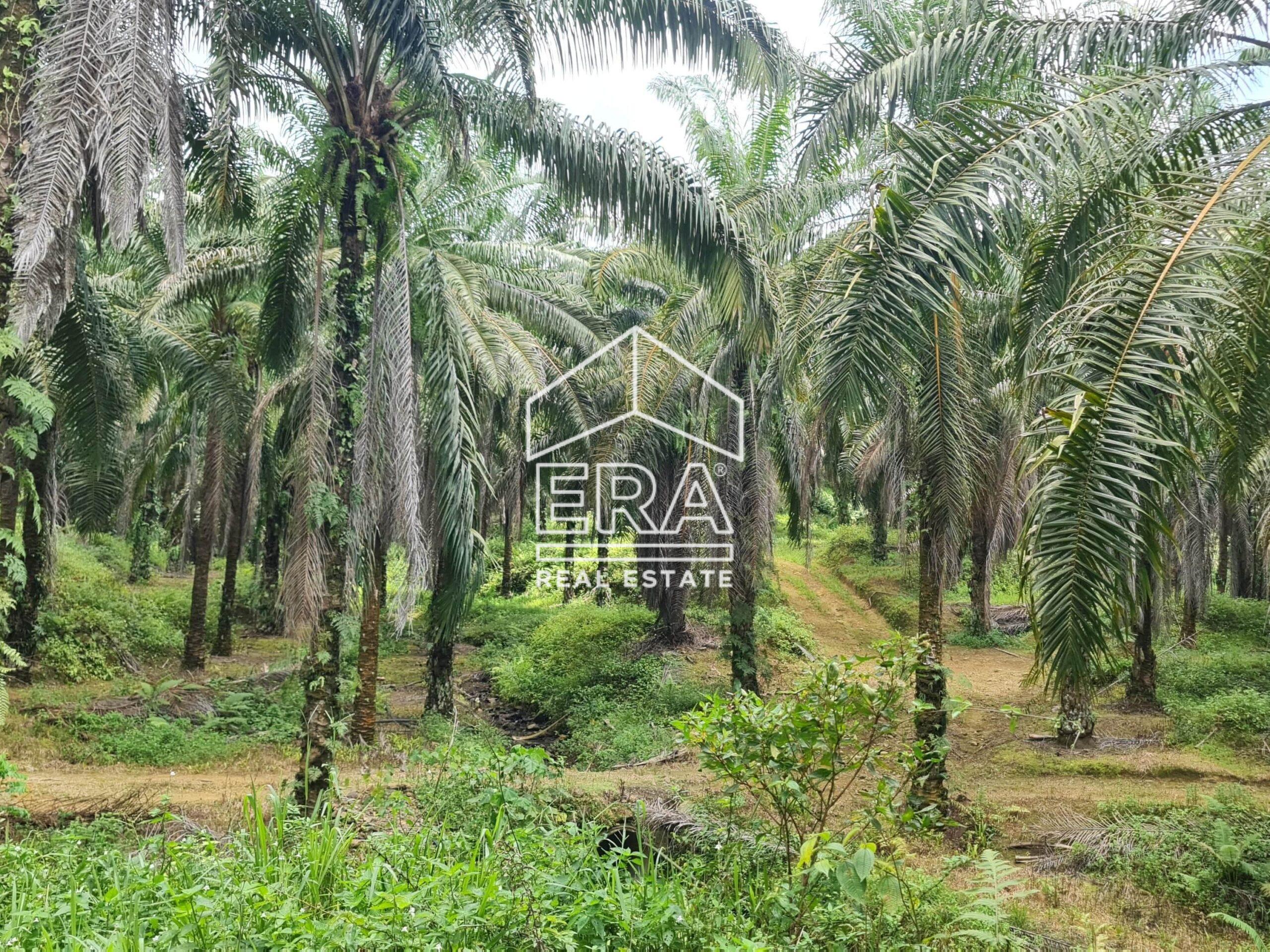 20220428_123006-min_cropped-crushimage-scaled-1