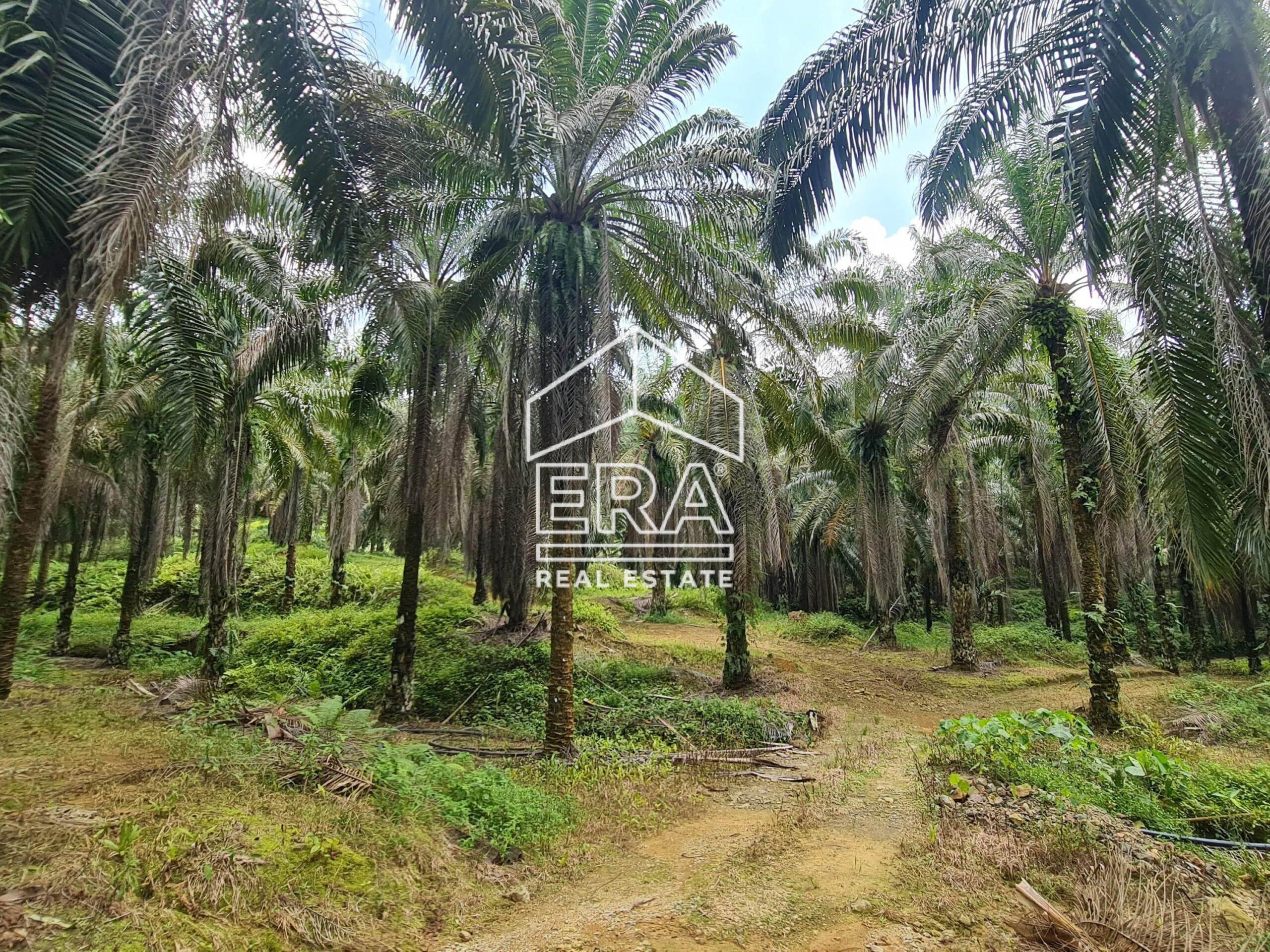 20220428_123027-min_cropped-crushimage-scaled-1