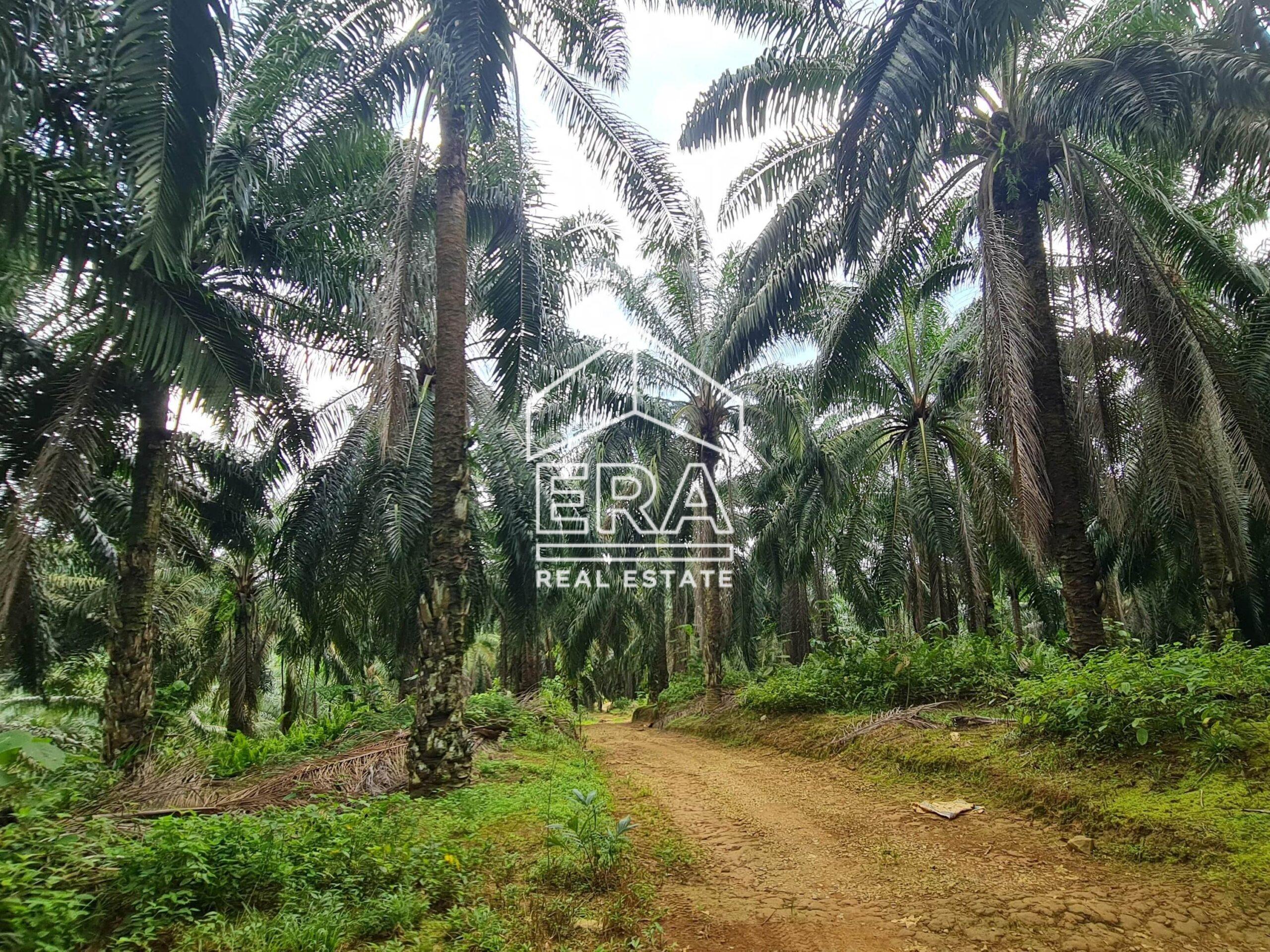 20220428_123529-min_cropped-crushimage-scaled-1