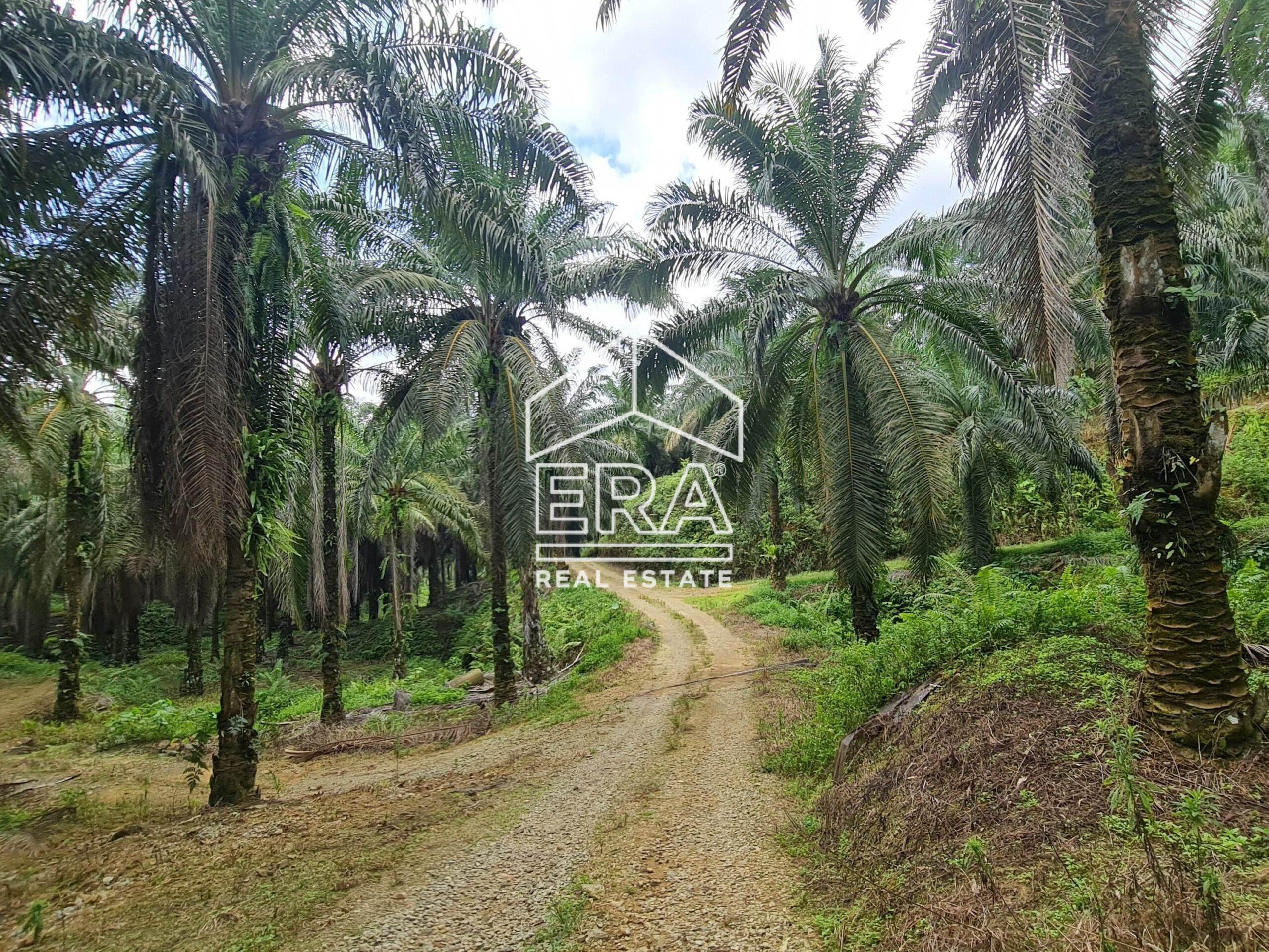 20220428_123906-min_cropped-crushimage-scaled-1