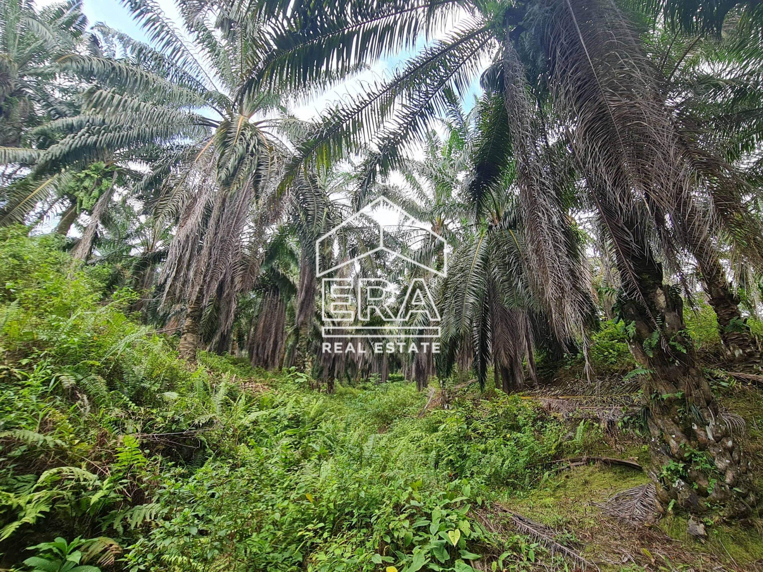 20220428_124115-min_cropped-crushimage-scaled-1