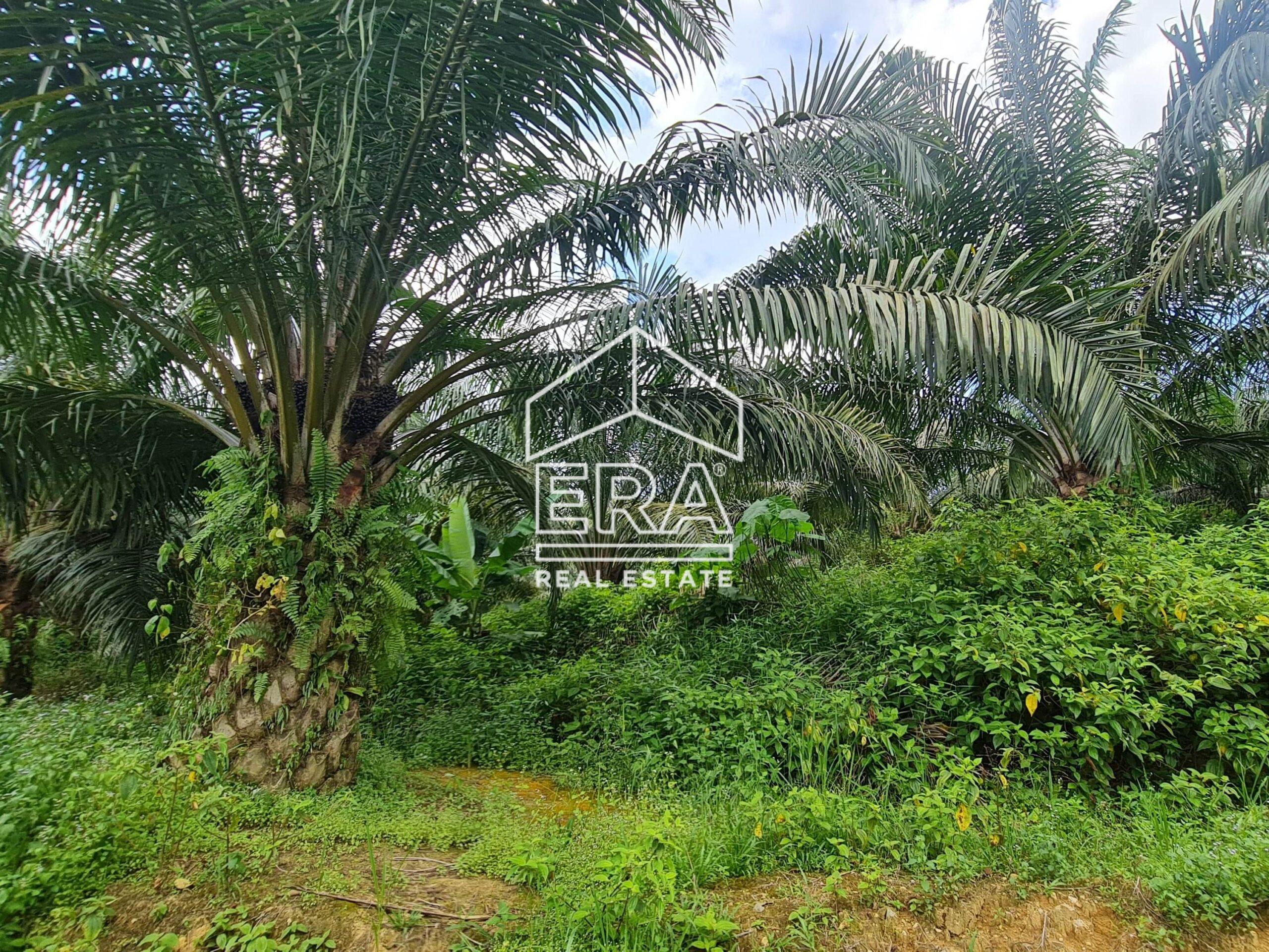 20220428_124547-min_cropped-crushimage-scaled-1