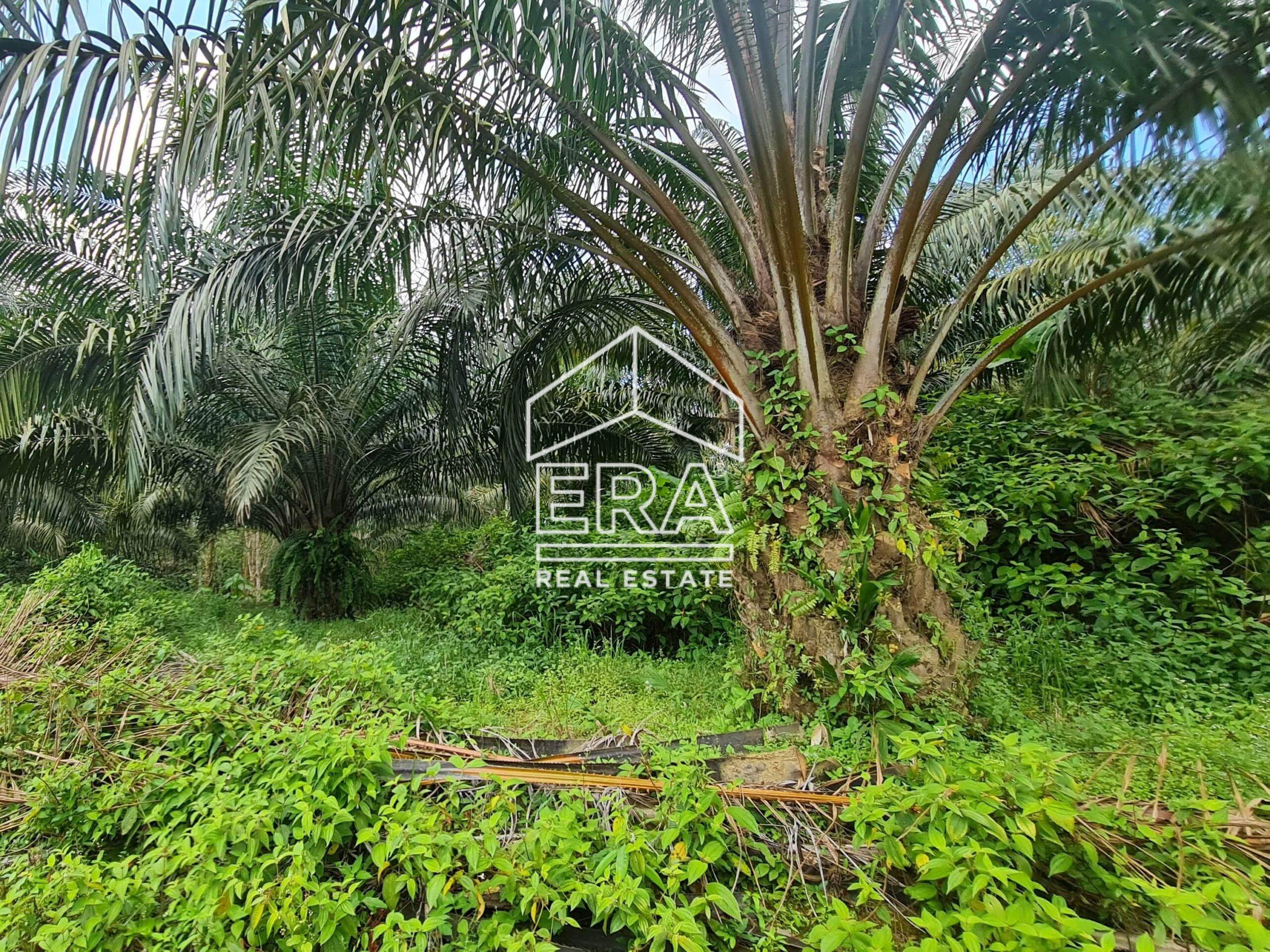 20220428_124606-min_cropped-crushimage-scaled-1