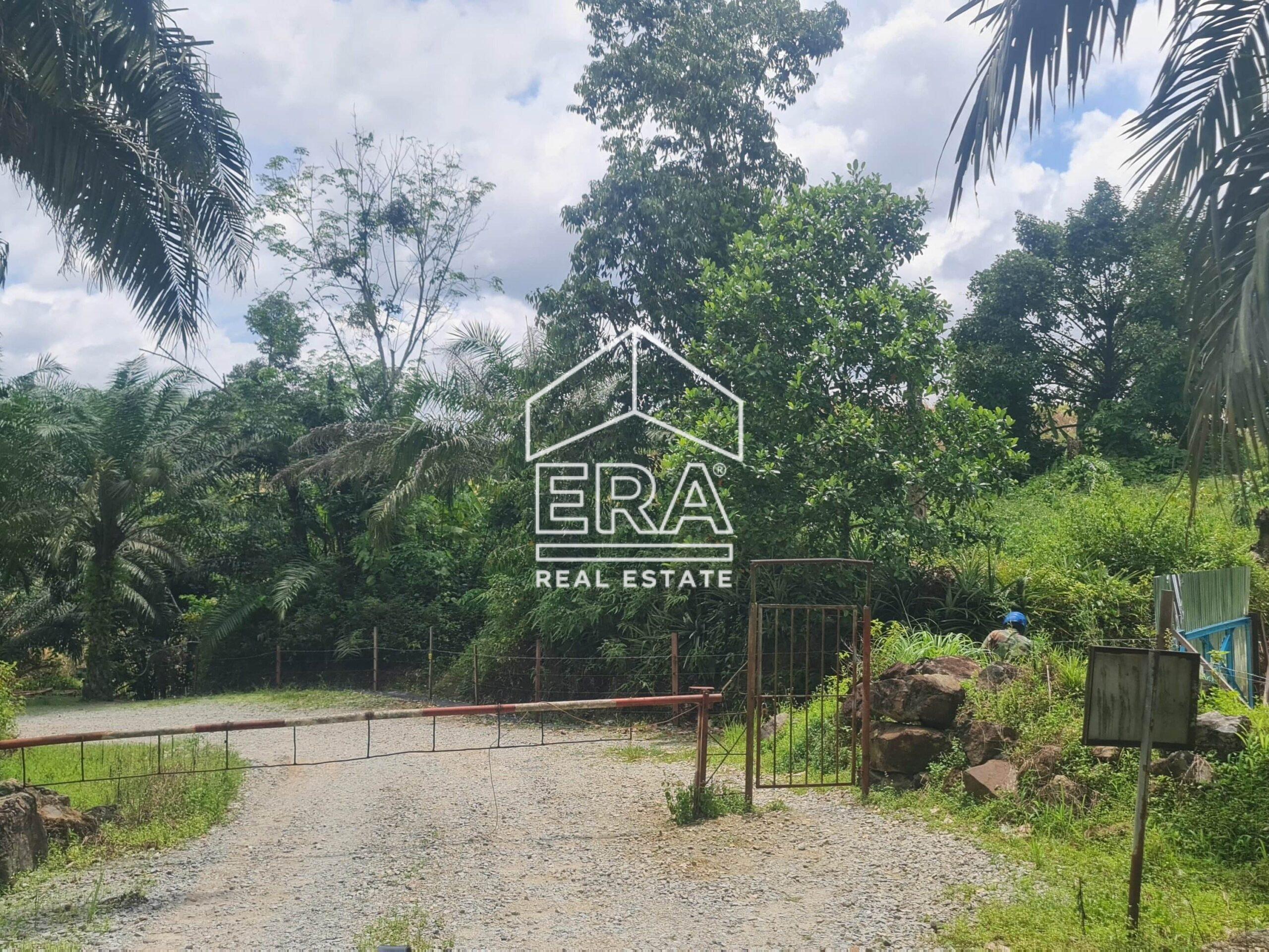 20220428_124721-min_cropped-crushimage-scaled-1