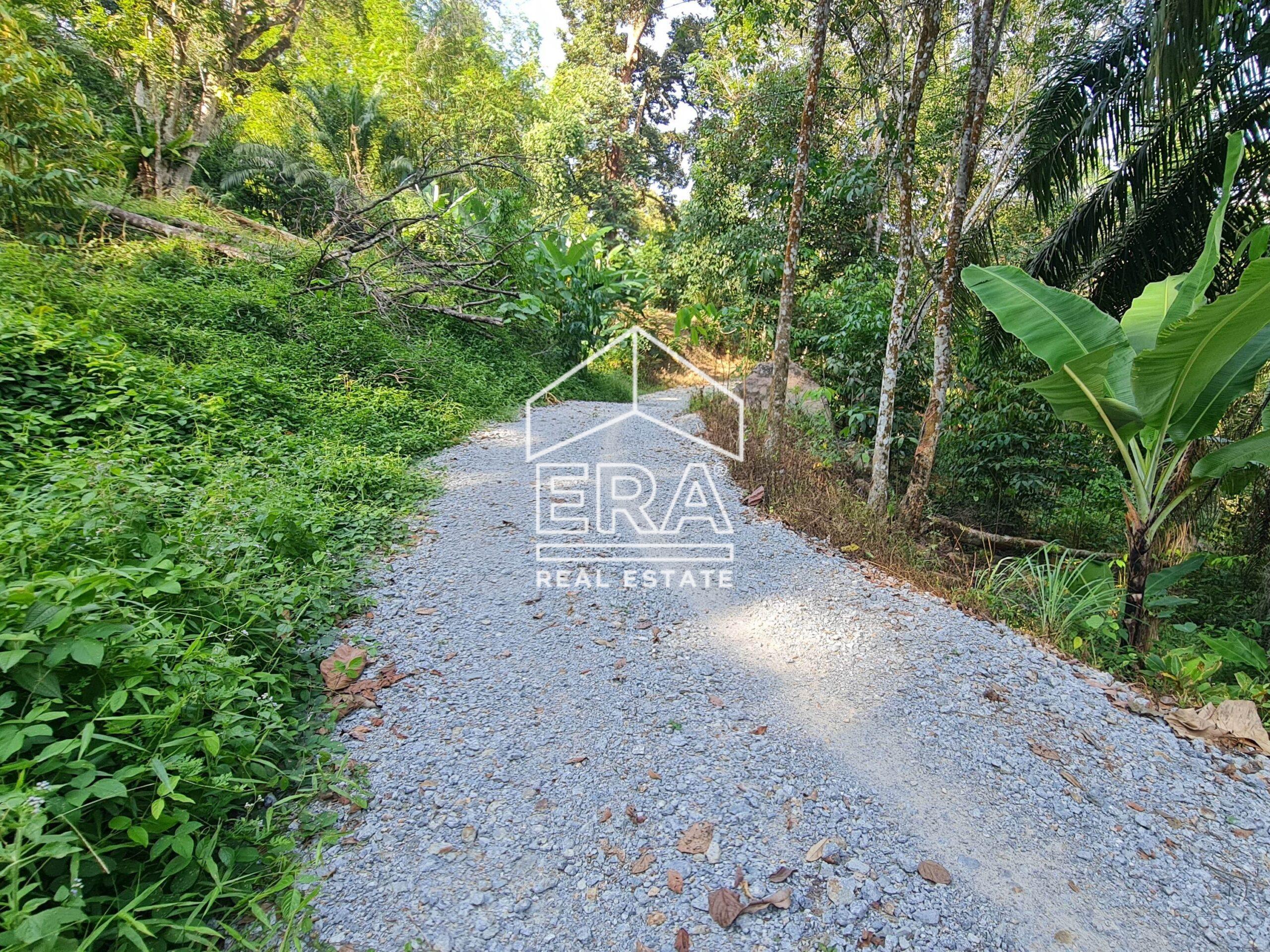 20220723_165821-crushimage_cropped-scaled-1