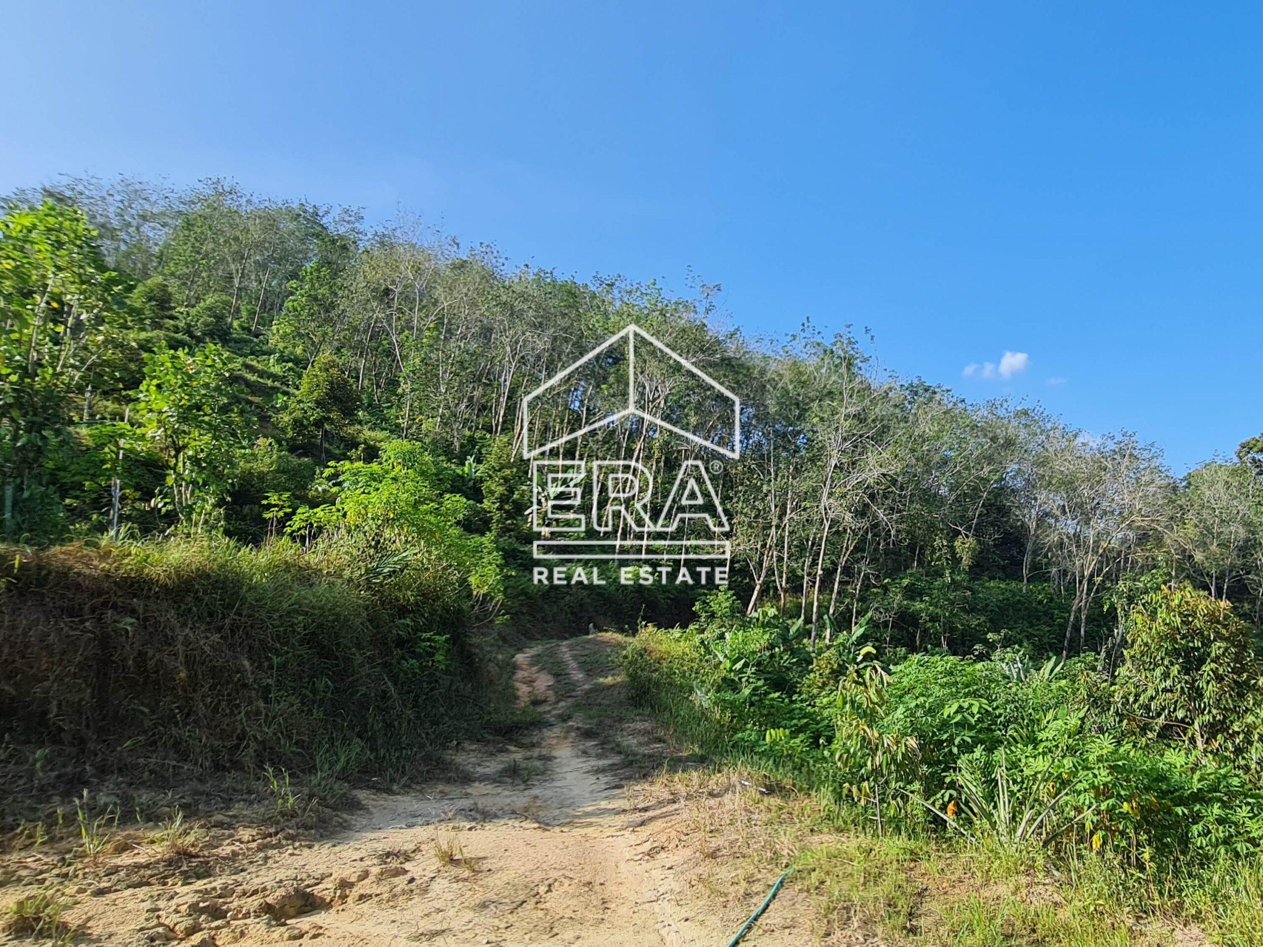 20220723_170656-crushimage_cropped-scaled-1