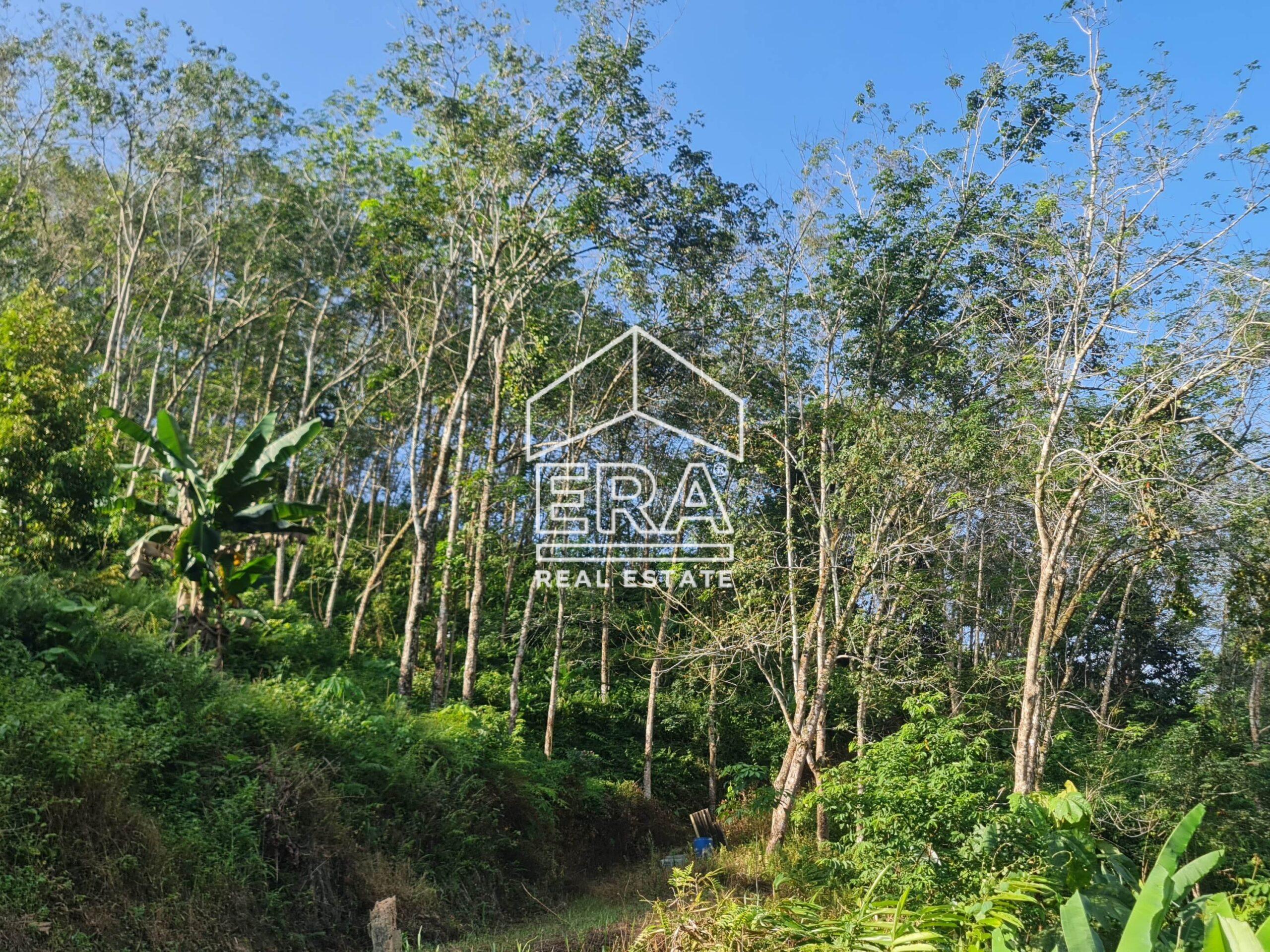 20220723_170747-crushimage_cropped-scaled-1