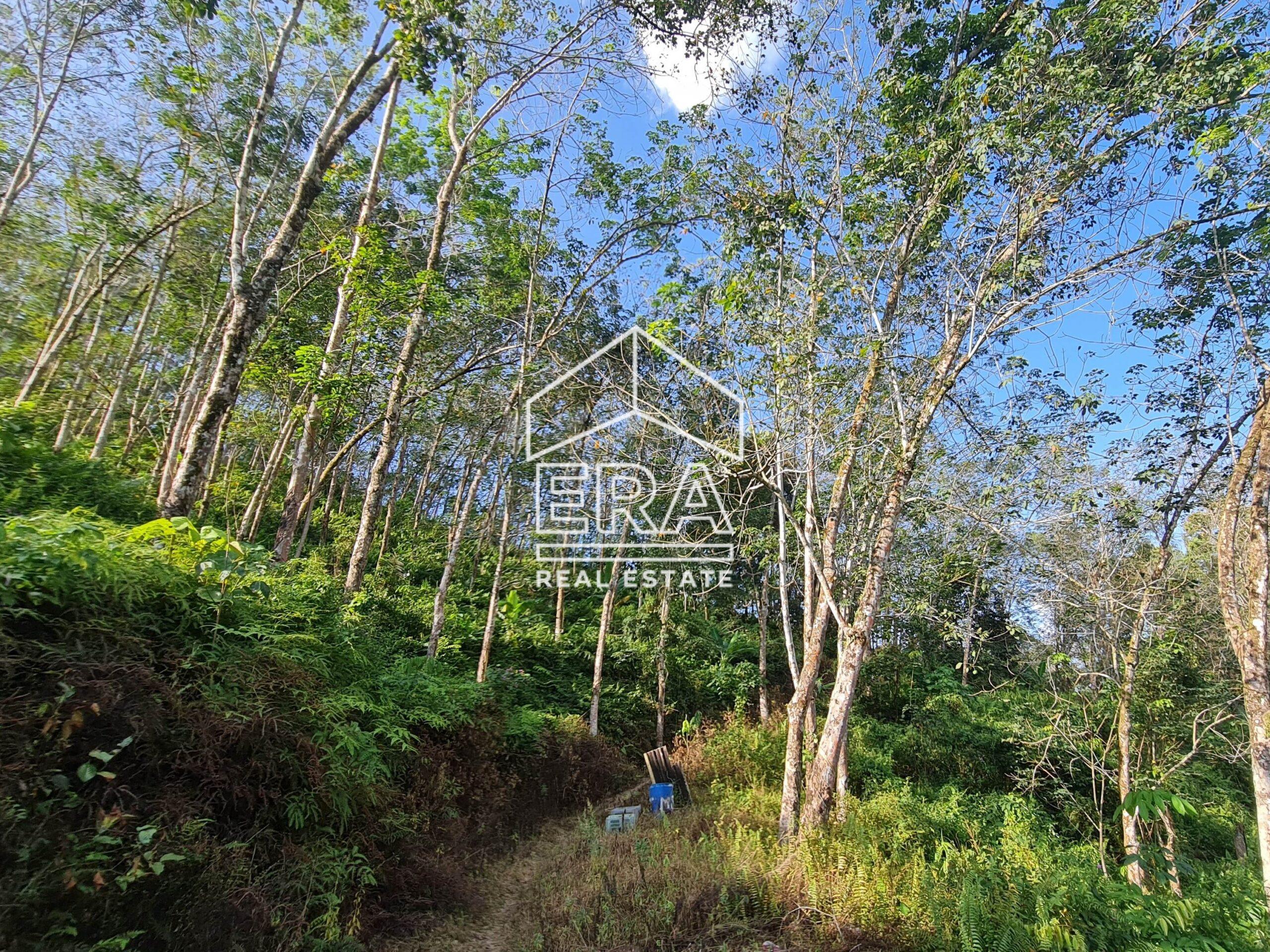 20220723_170815-crushimage_cropped-scaled-1