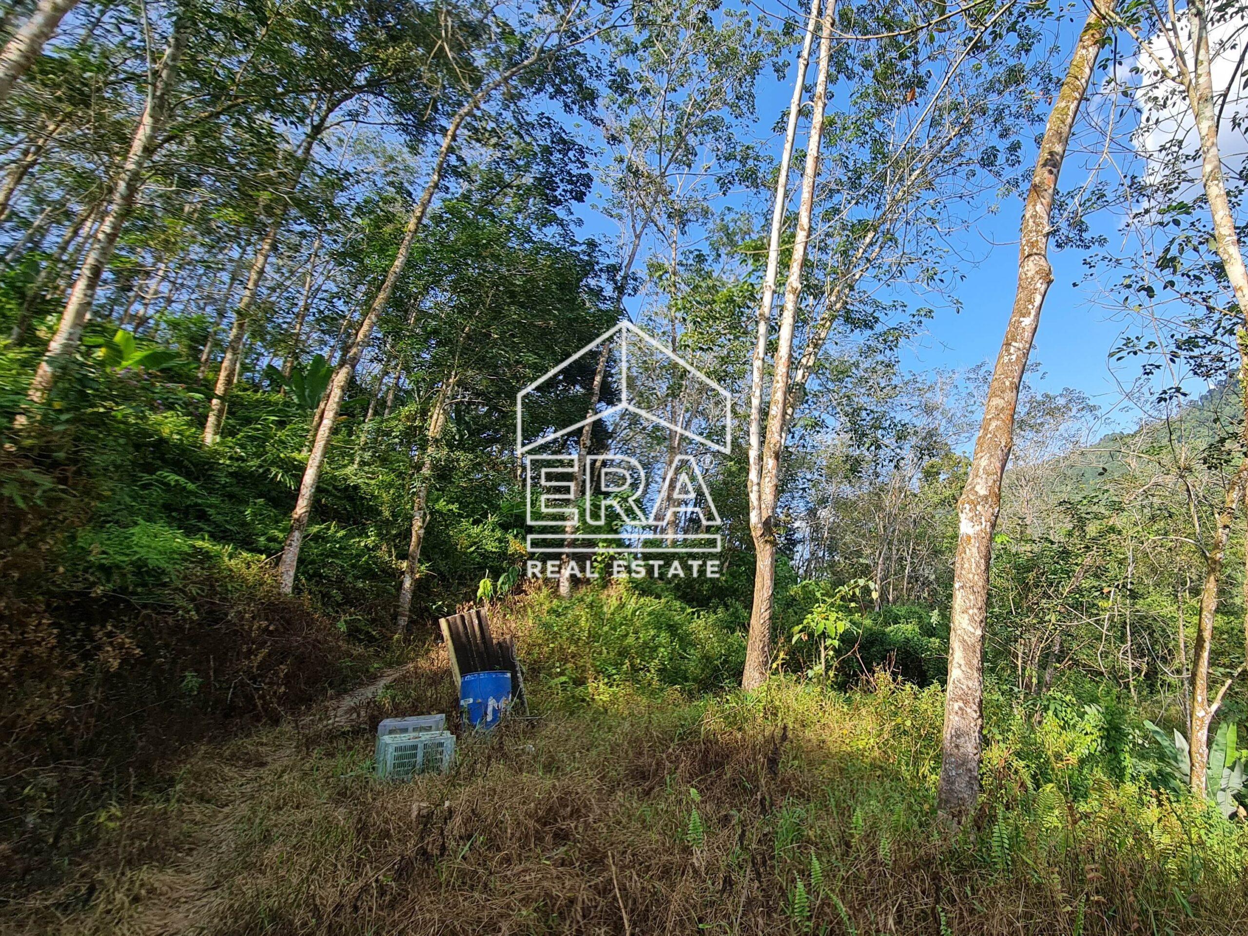 20220723_170828-crushimage_cropped-scaled-1