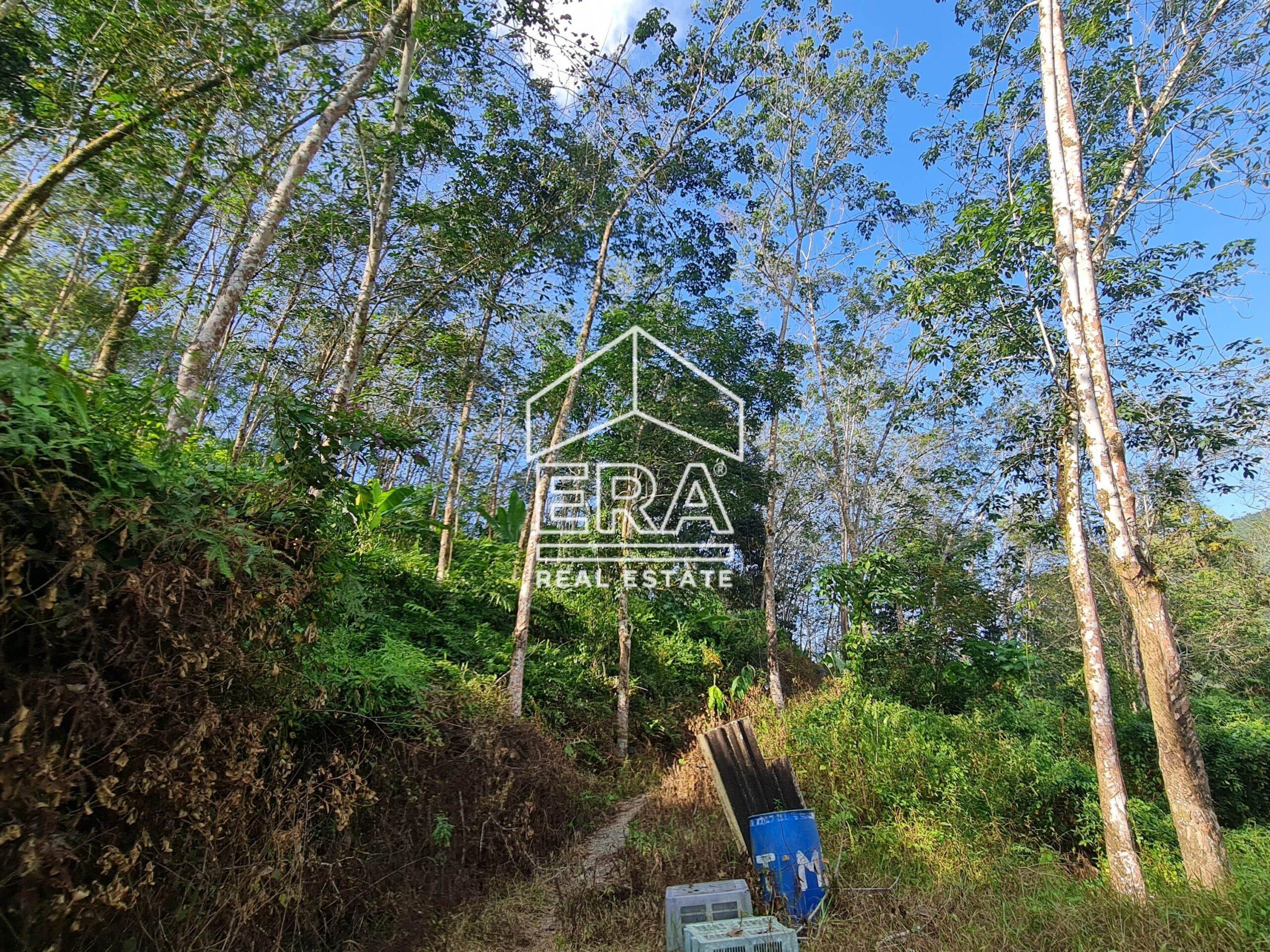 20220723_170907-crushimage_cropped-scaled-1