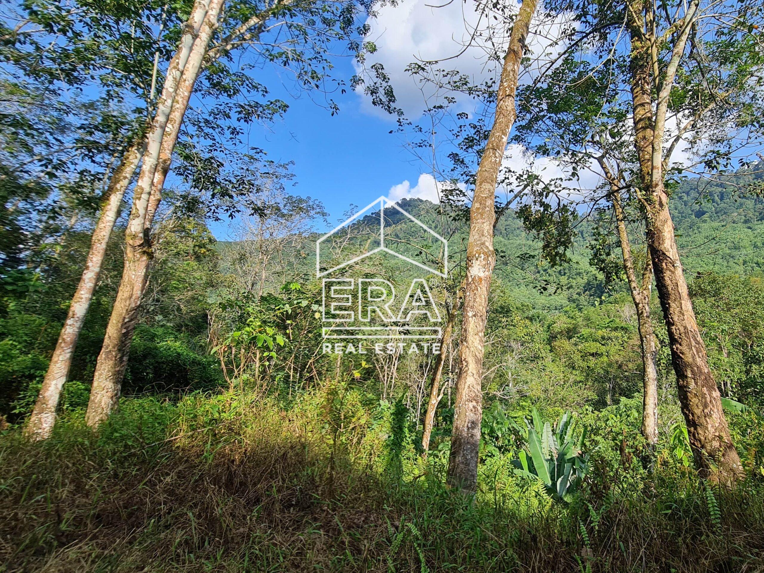 20220723_170912-crushimage_cropped-scaled-1