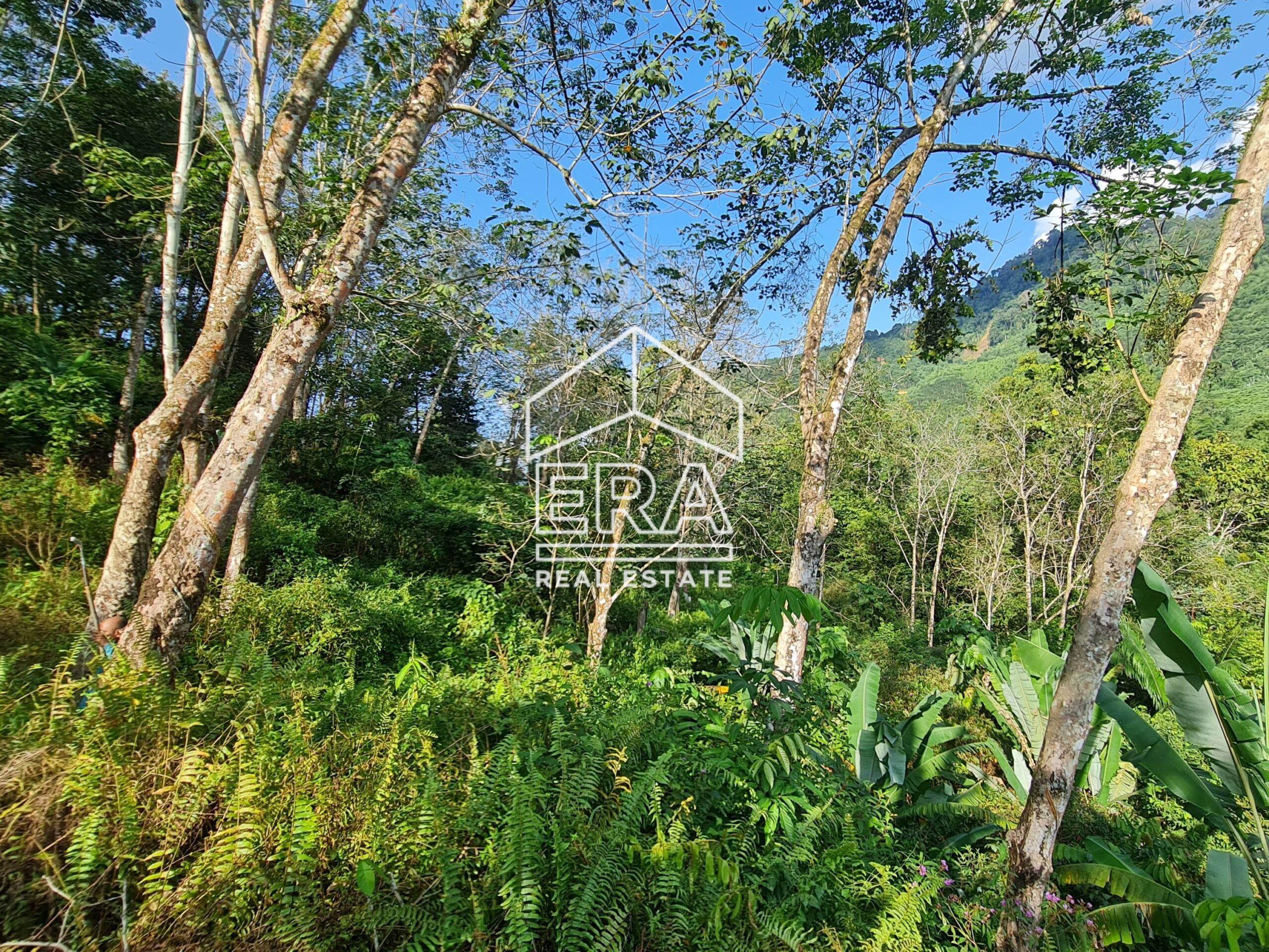 20220723_170936-crushimage_cropped-scaled-1