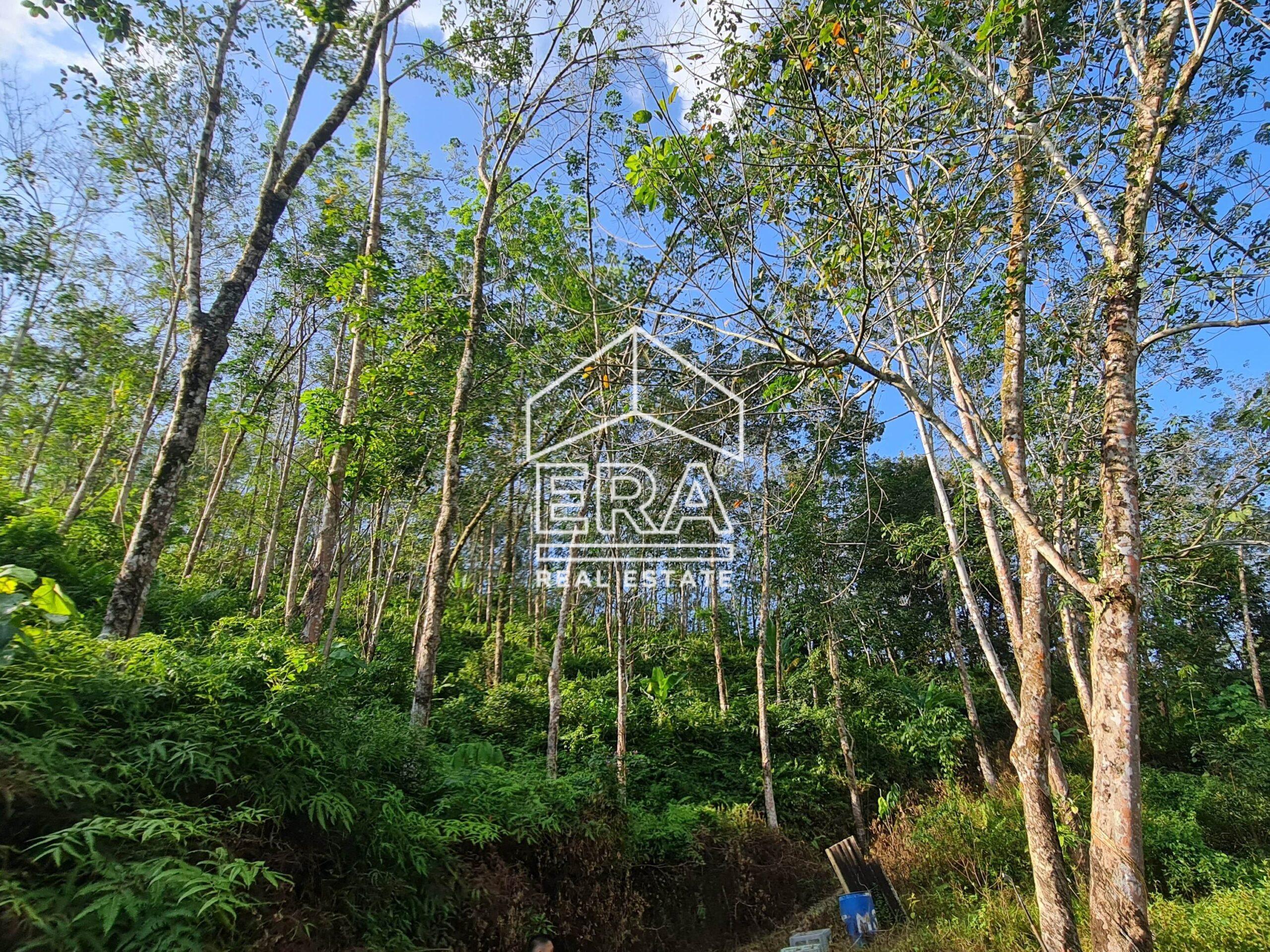 20220723_170947-crushimage_cropped-scaled-1