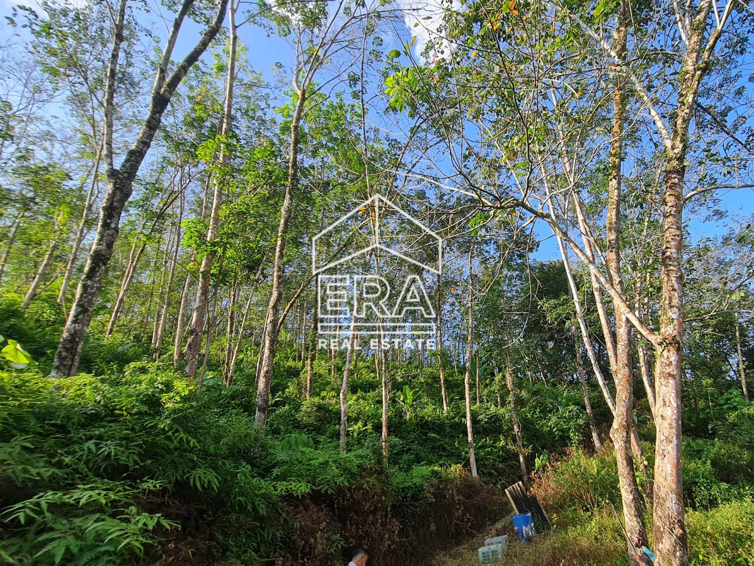 20220723_170956-crushimage_cropped-scaled-1