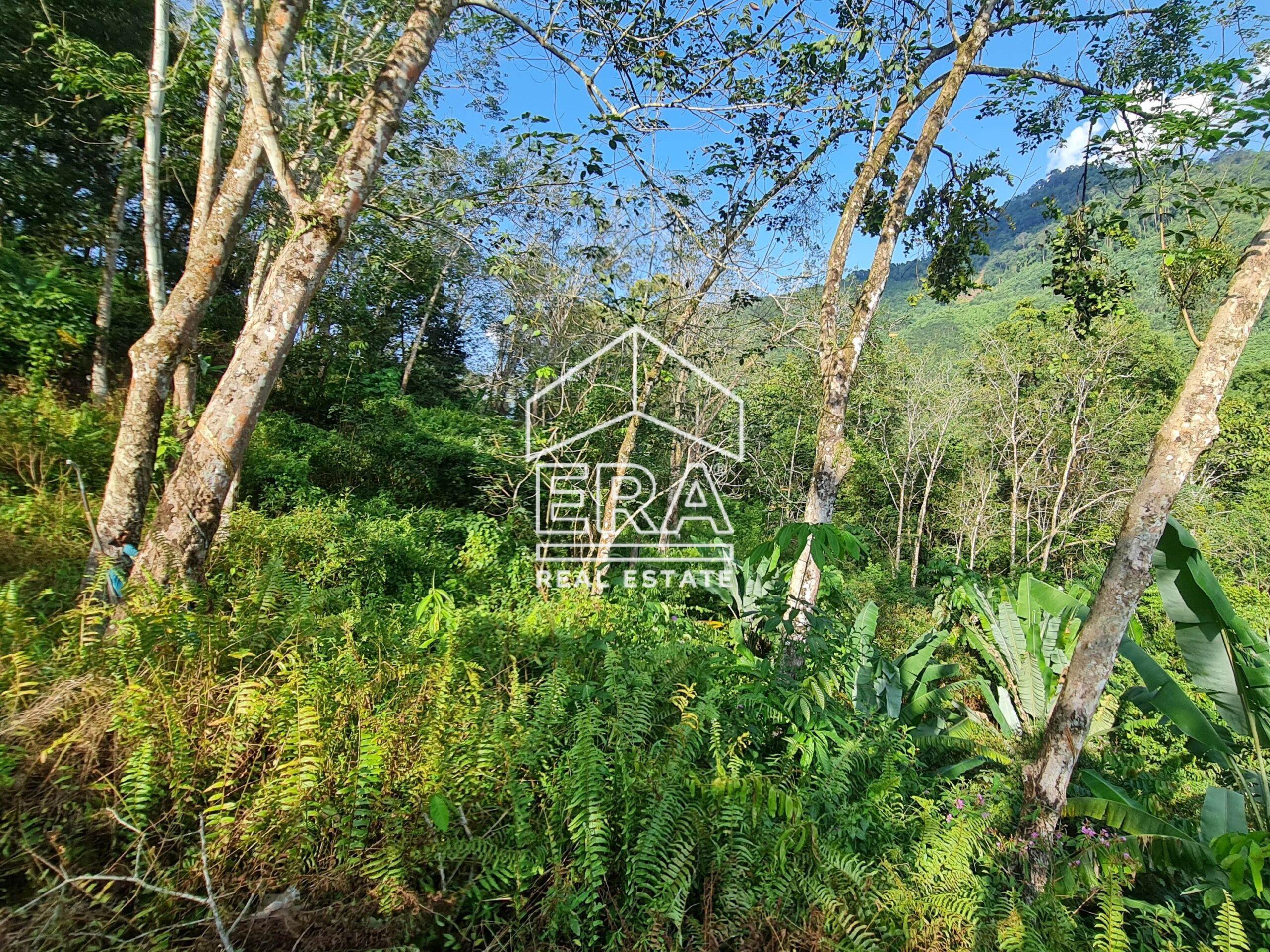 20220723_171003-crushimage_cropped-scaled-1