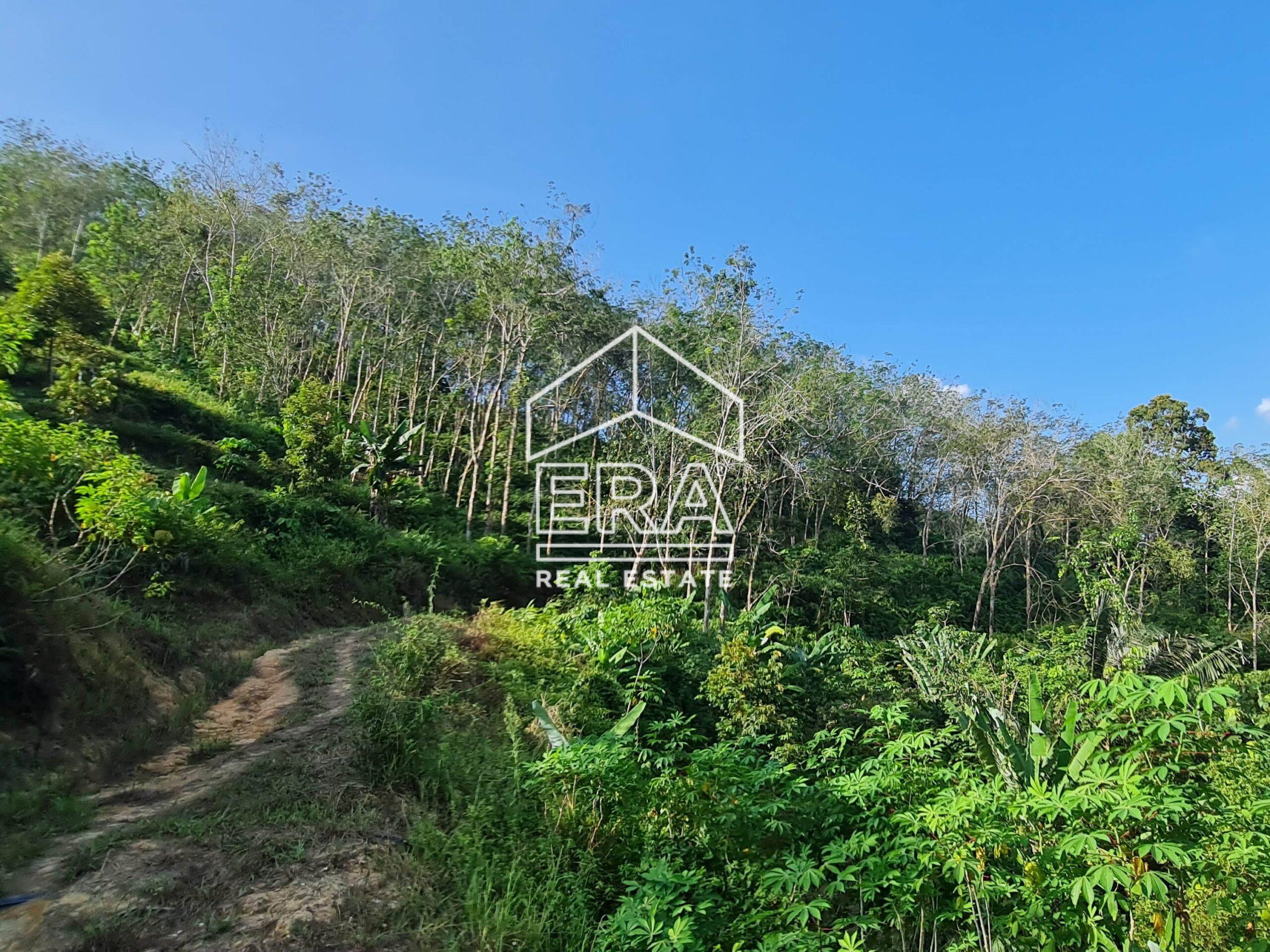 20220723_171205-crushimage_cropped-scaled-2