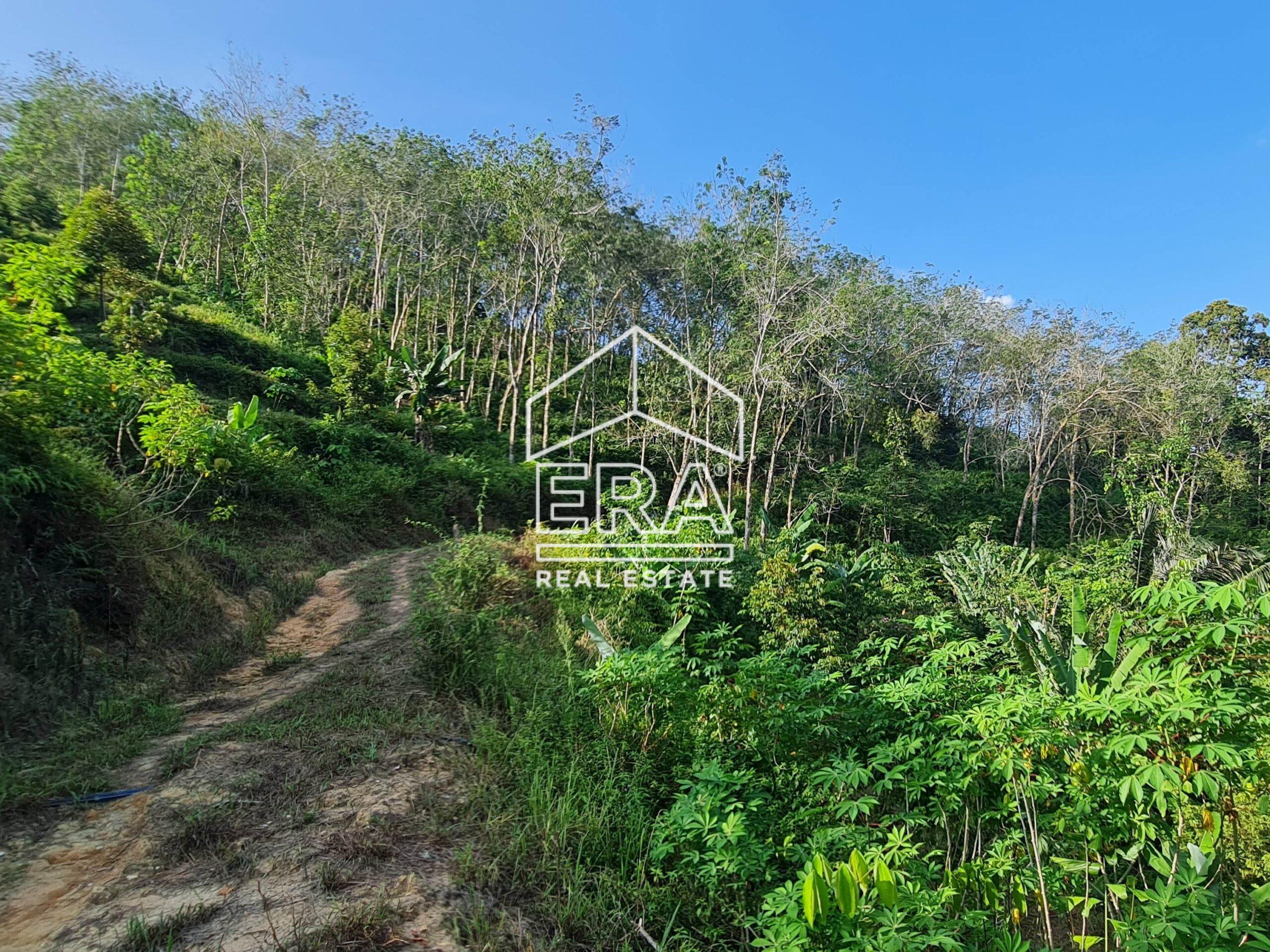 20220723_171207-crushimage_cropped-scaled-1