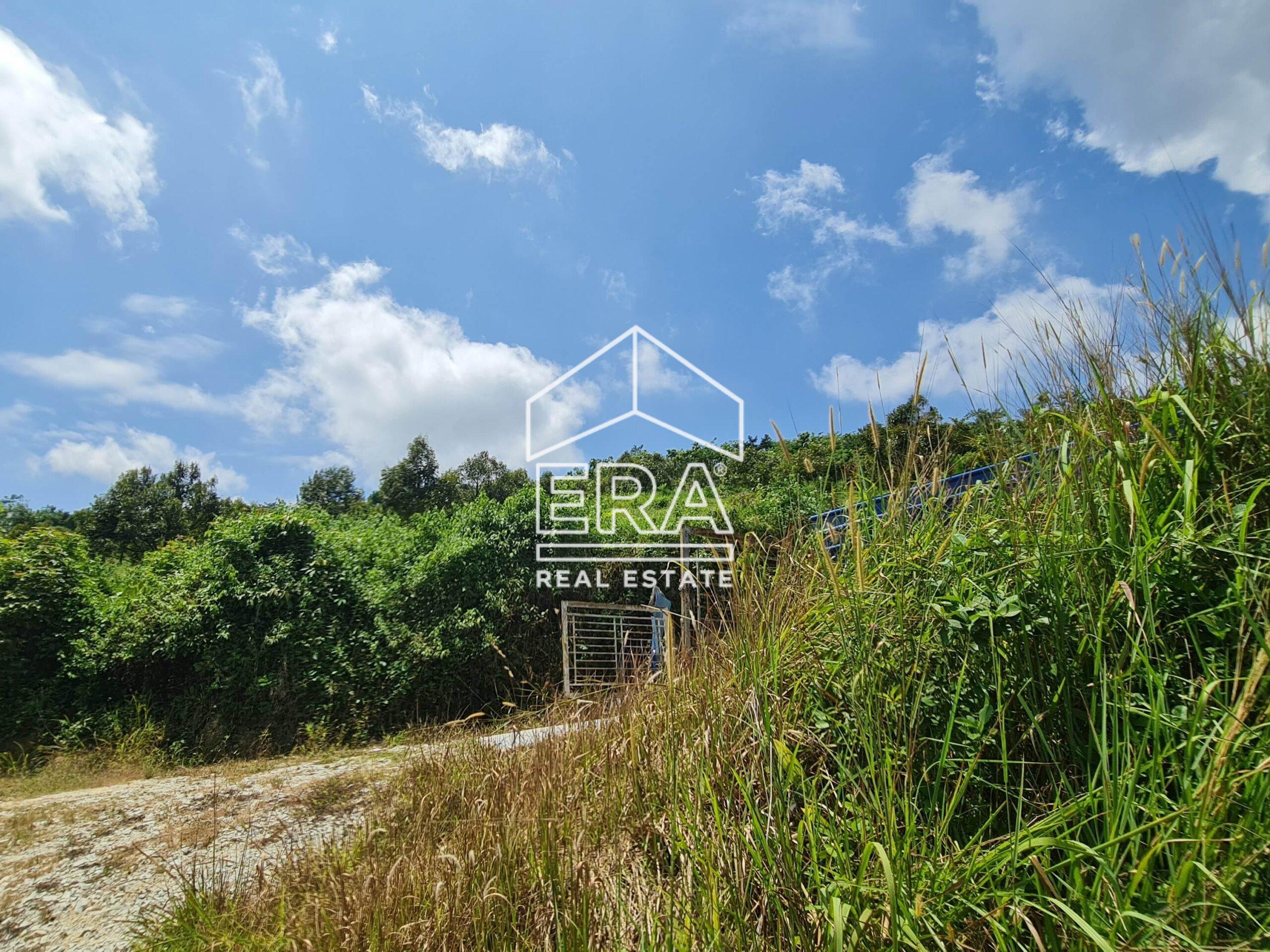 20220817_121831-crushimage_cropped-scaled-1