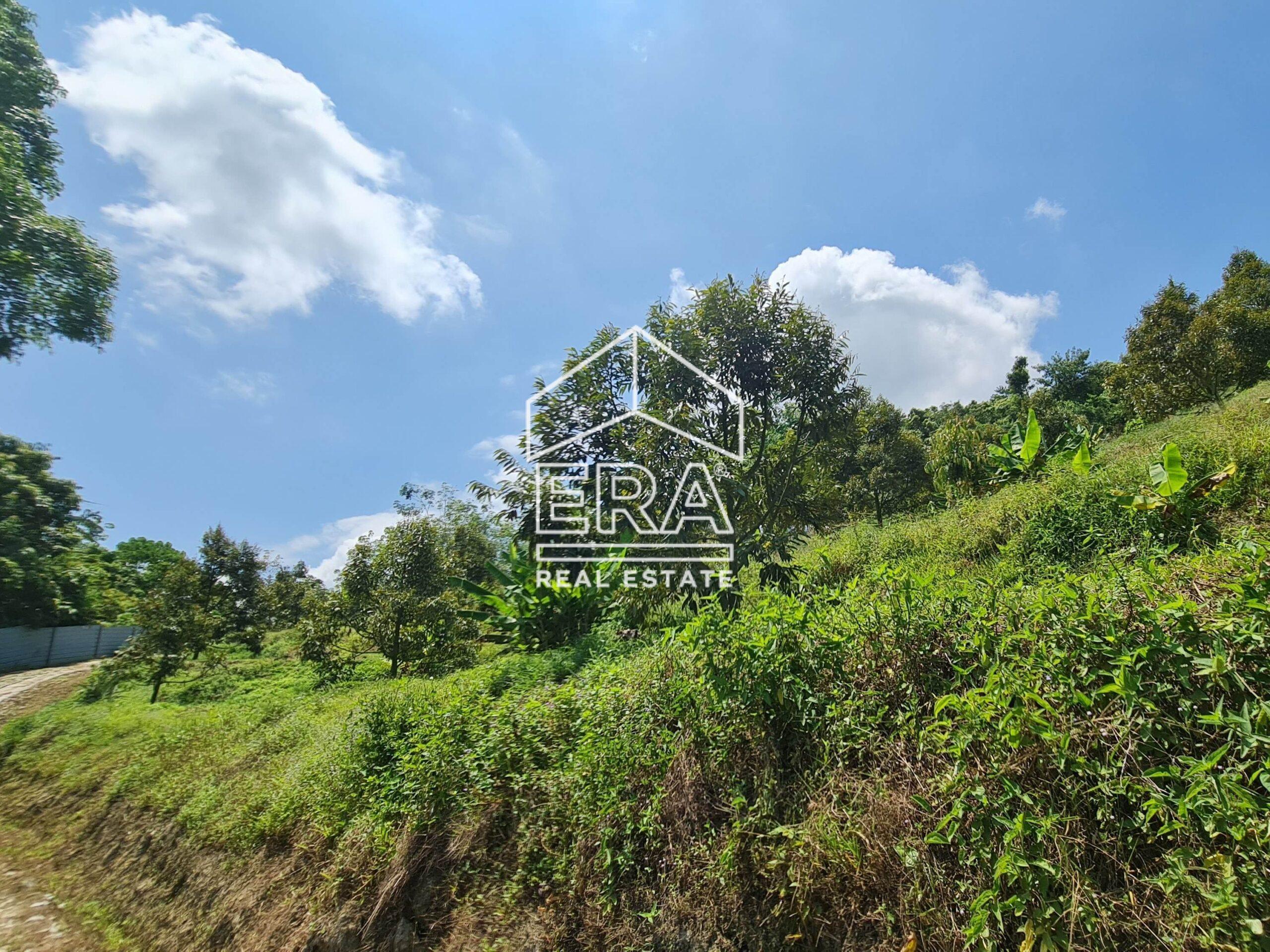 20220817_122015-crushimage_cropped-scaled-1